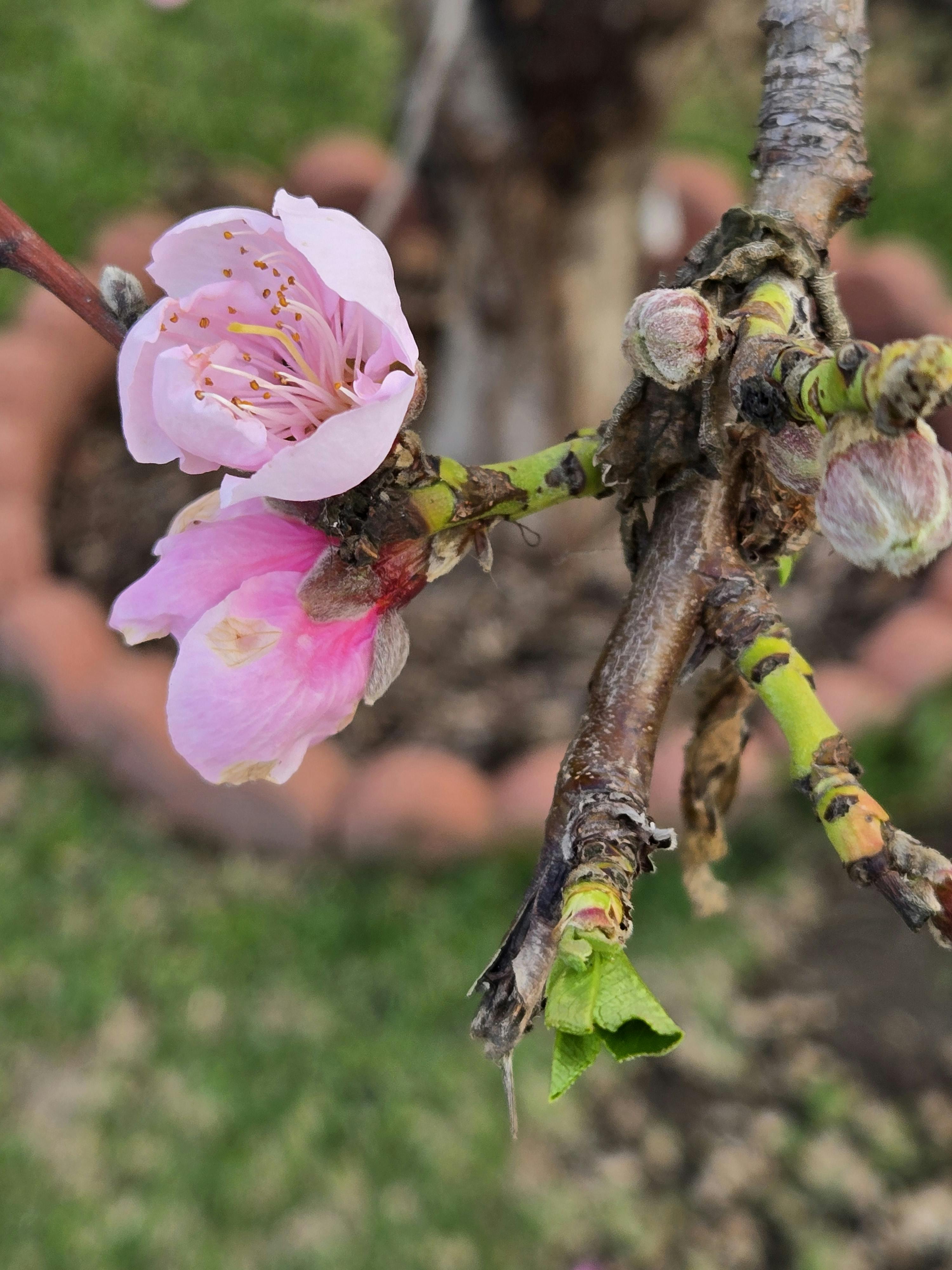 user avatar image for Kristin Manning 