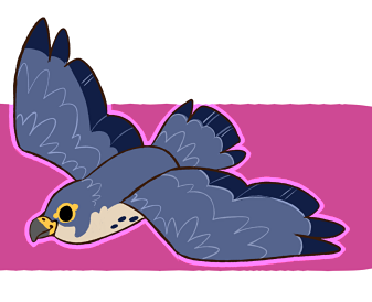 Falcon