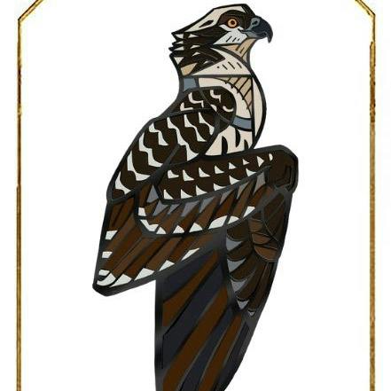 Osprey