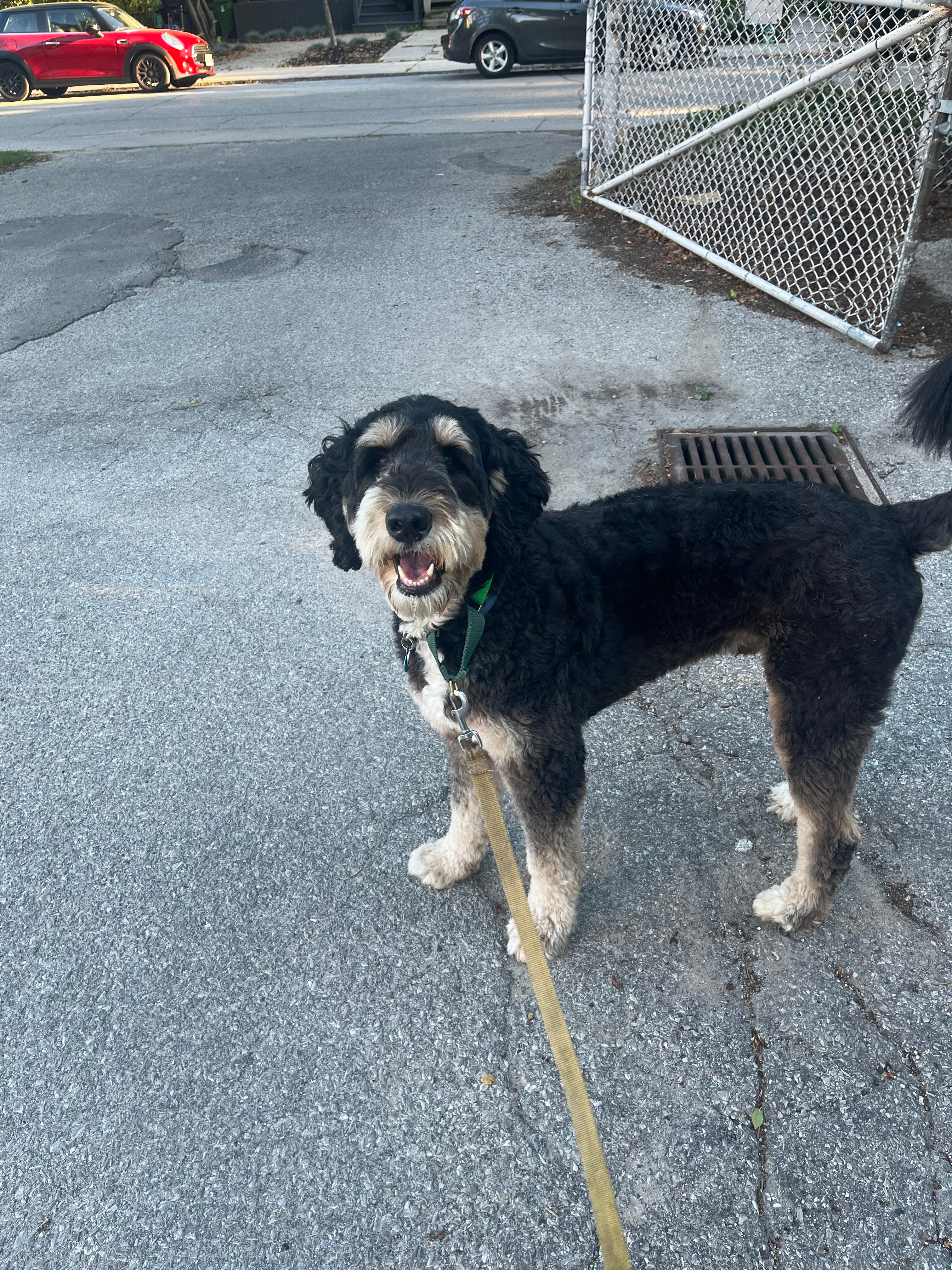 user avatar image for Redleaf55