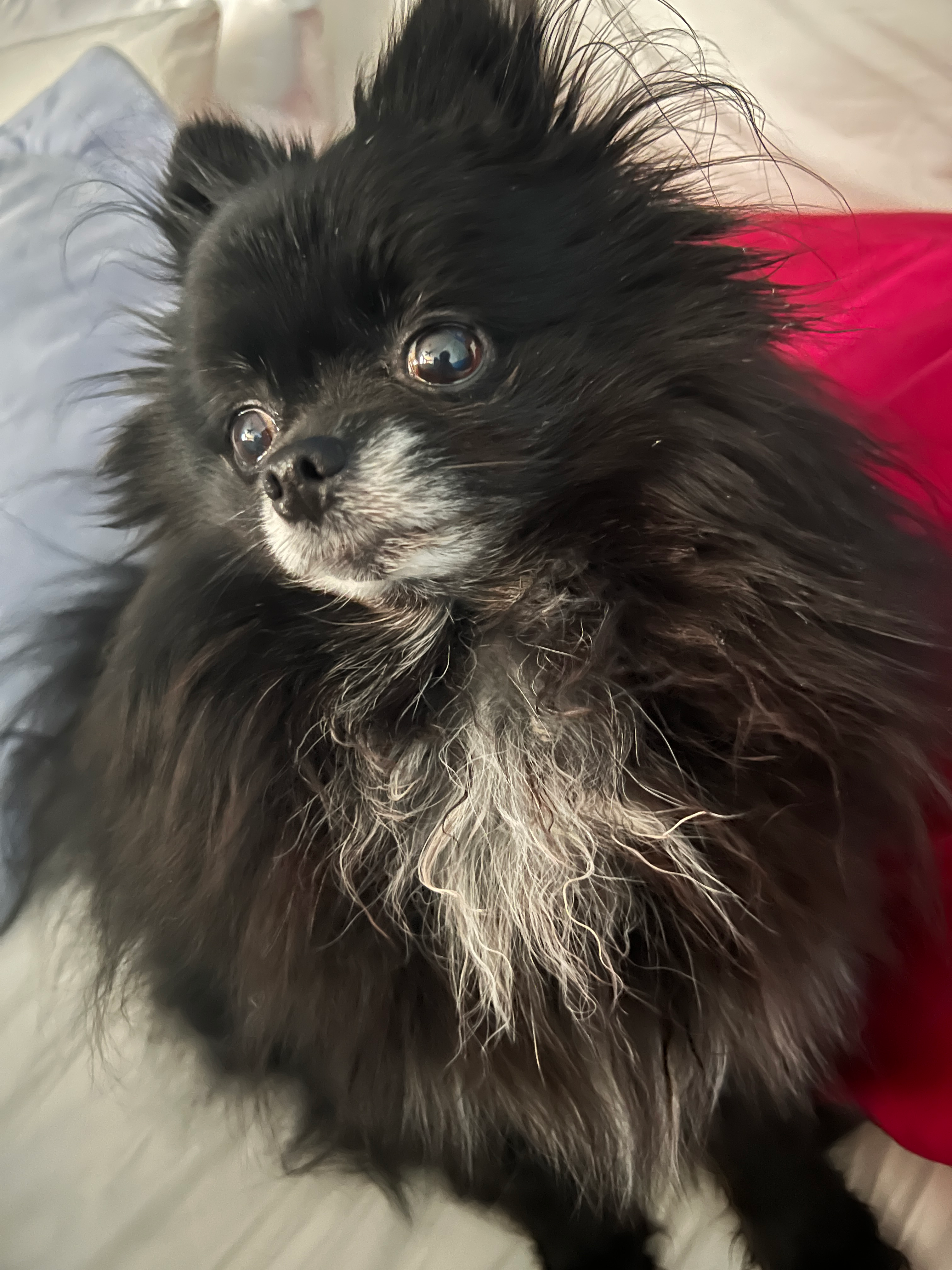 user avatar image for Eva