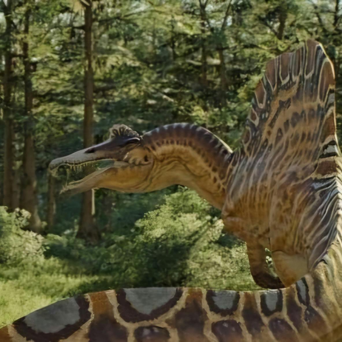 user avatar image for SnakeDude