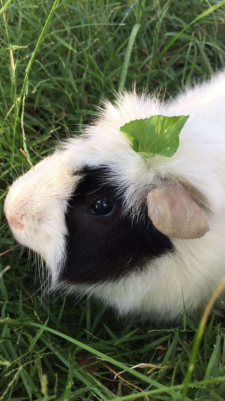 user avatar image for Hannah