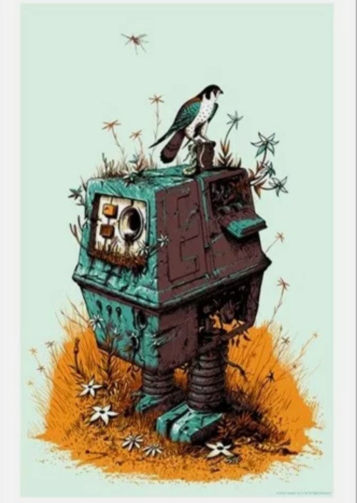 user avatar image for Whitechedder