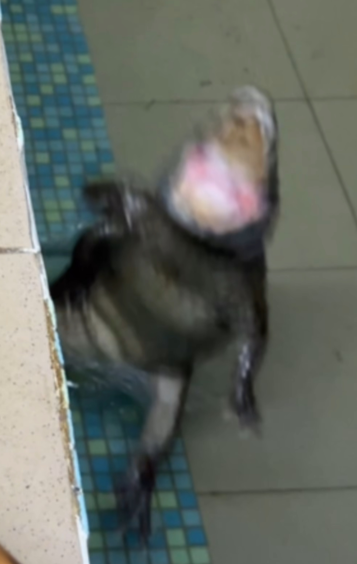 user avatar image for LouzerCryptid 