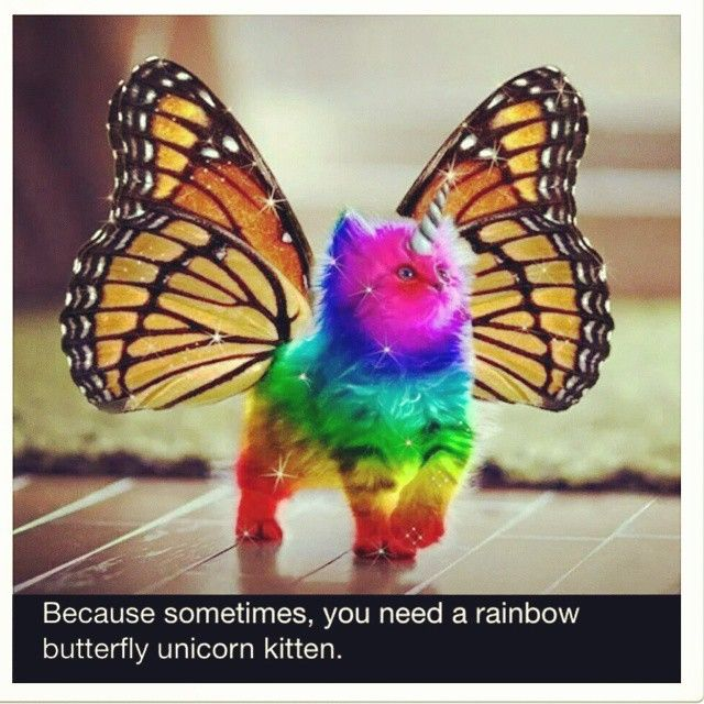 user avatar image for Emily S.