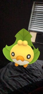 user avatar image for Mandy Spillane