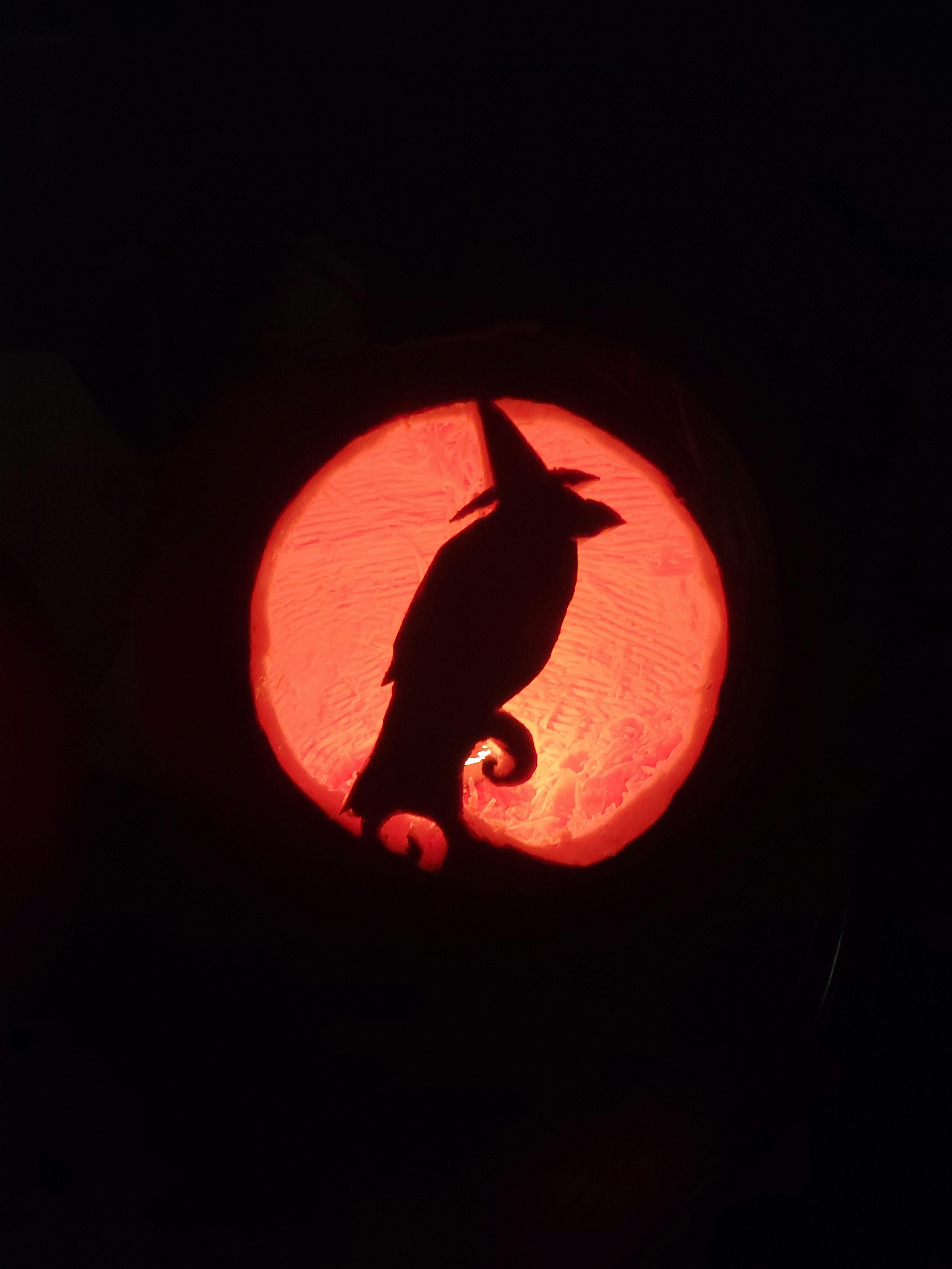 user avatar image for Patrice