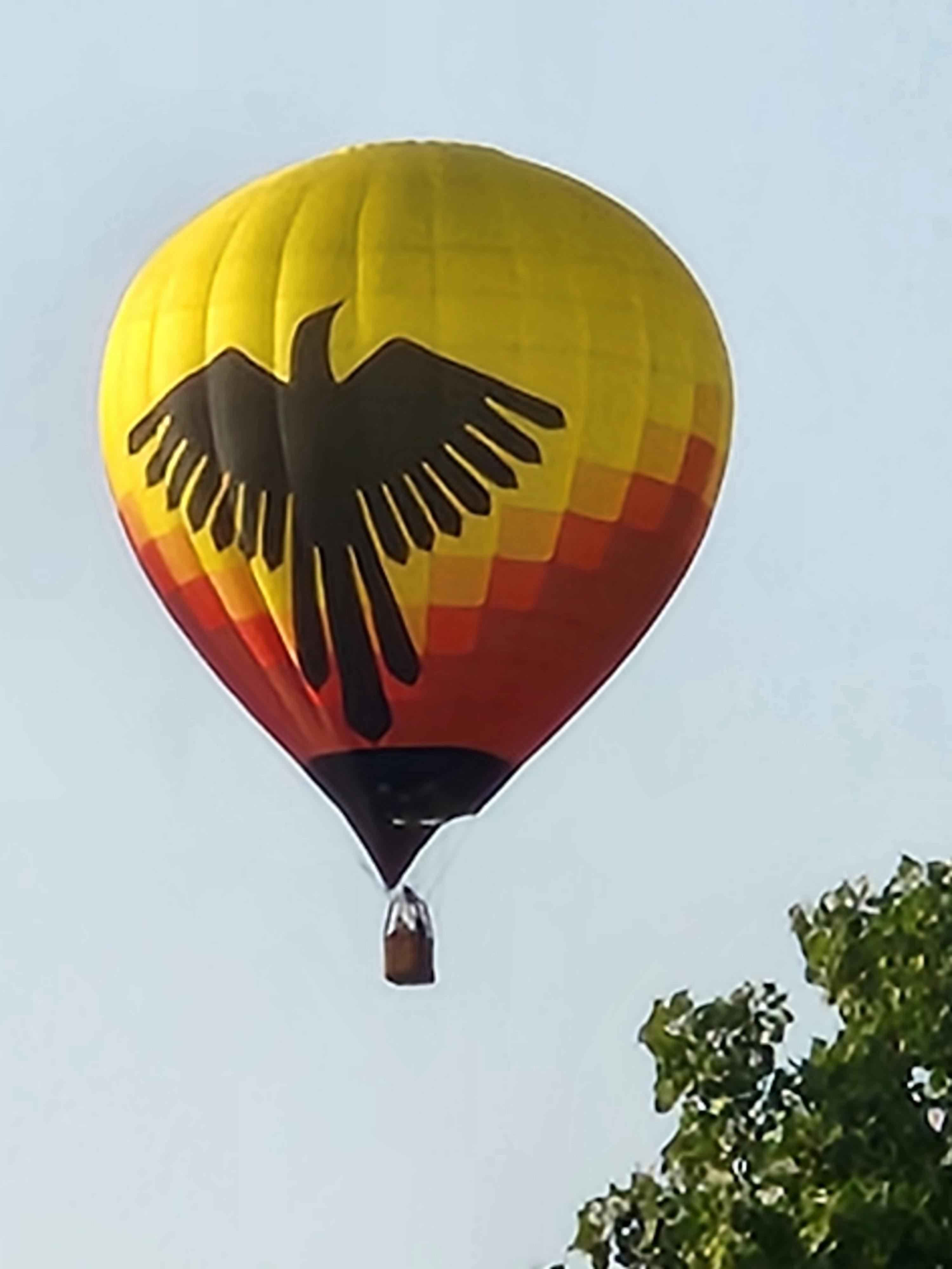 user avatar image for Crogoth