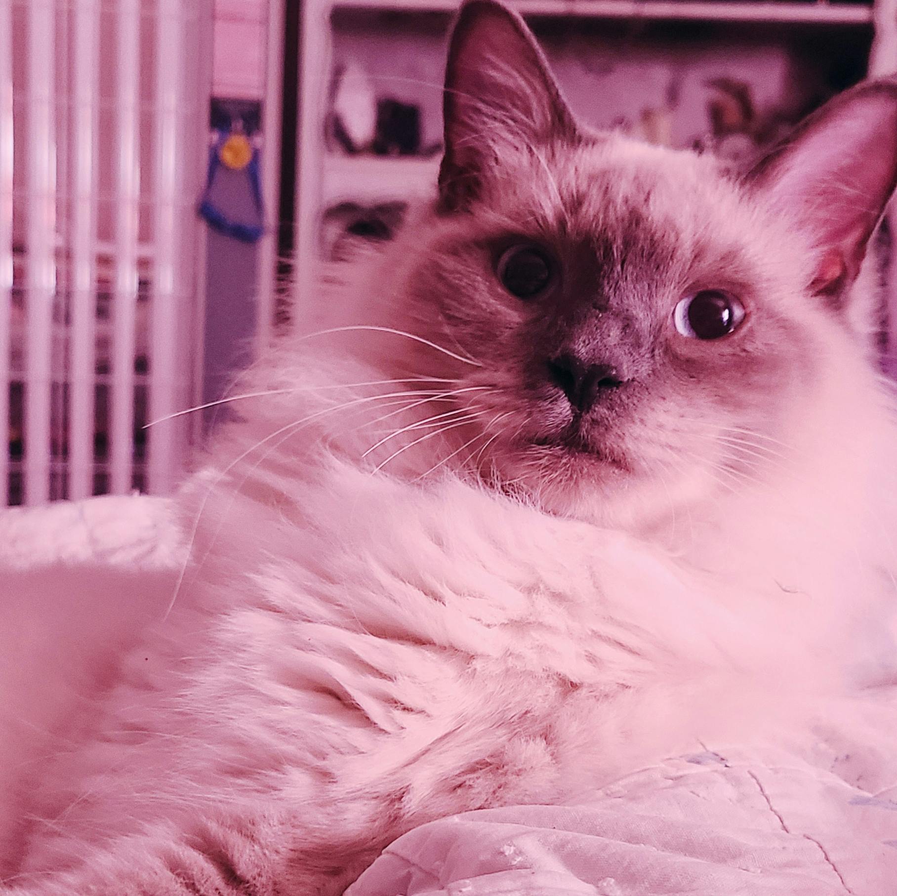 user avatar image for Megan