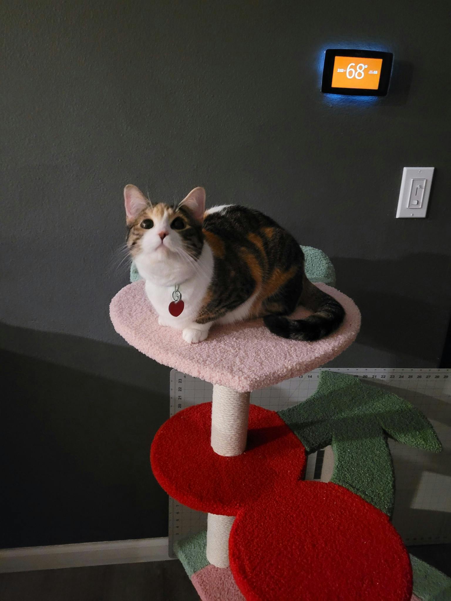 user avatar image for Jennifer Traini 