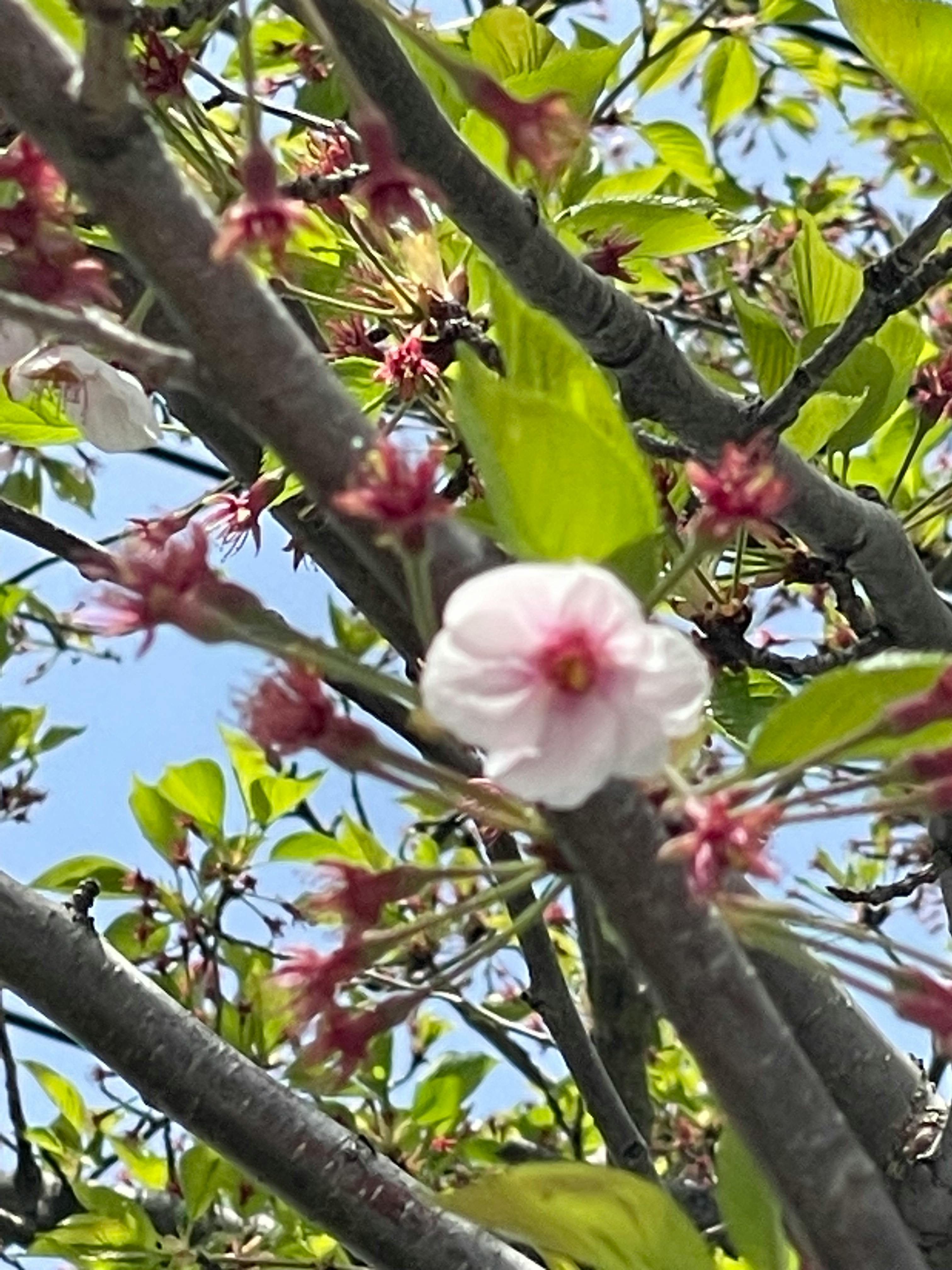 user avatar image for Joe Roberti