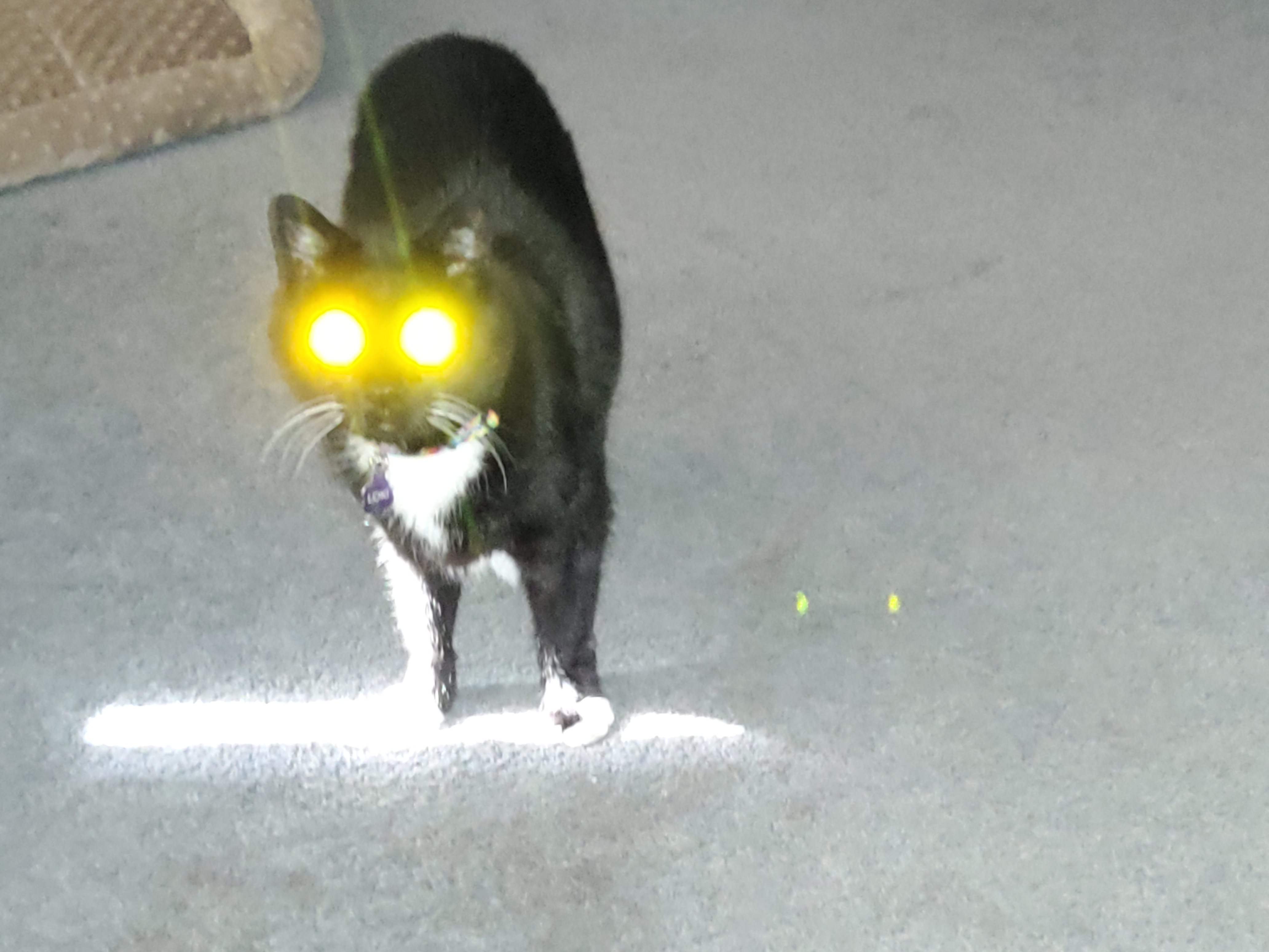 user avatar image for Charles L Sherman