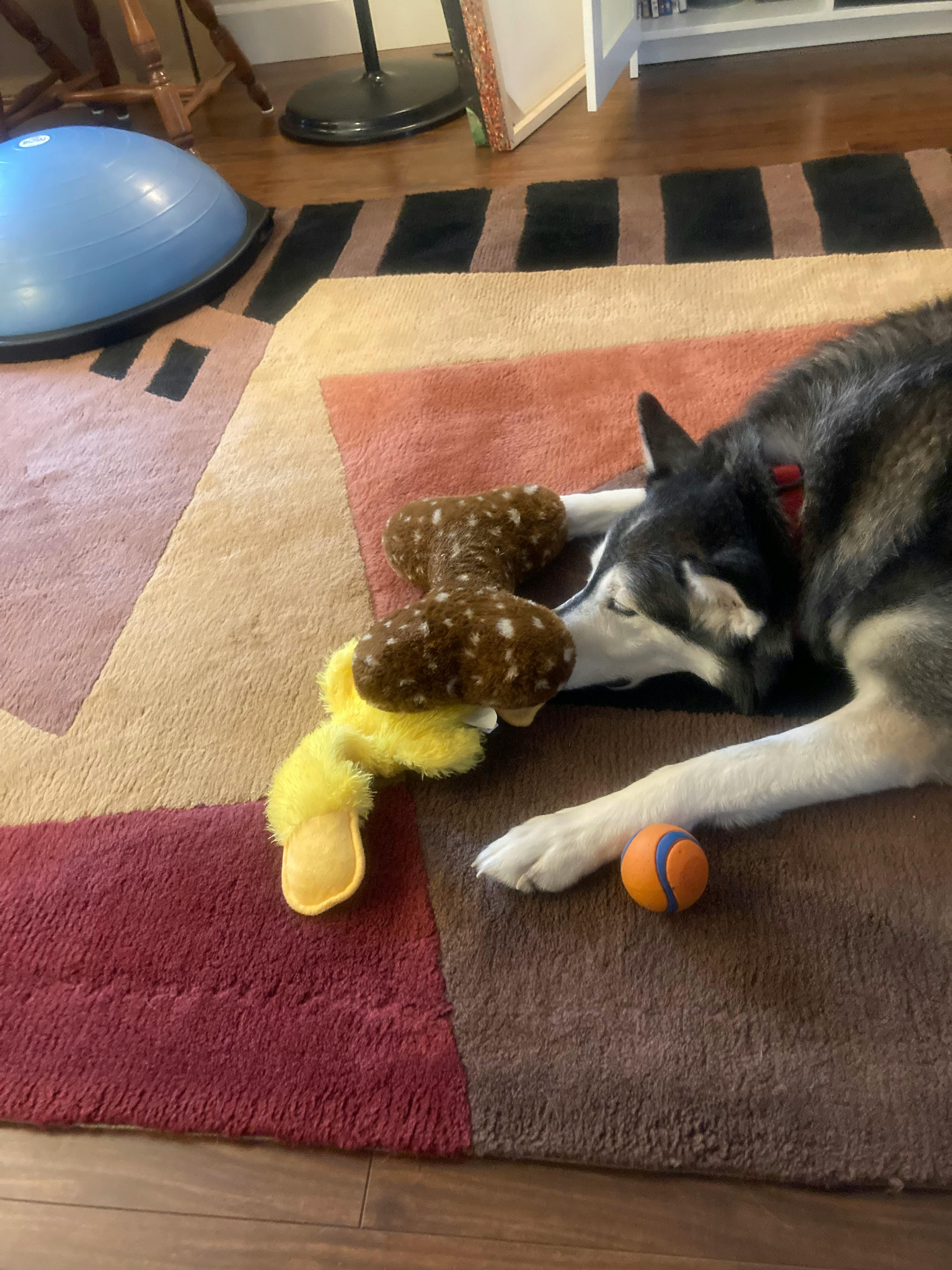 user avatar image for KeleksBreath