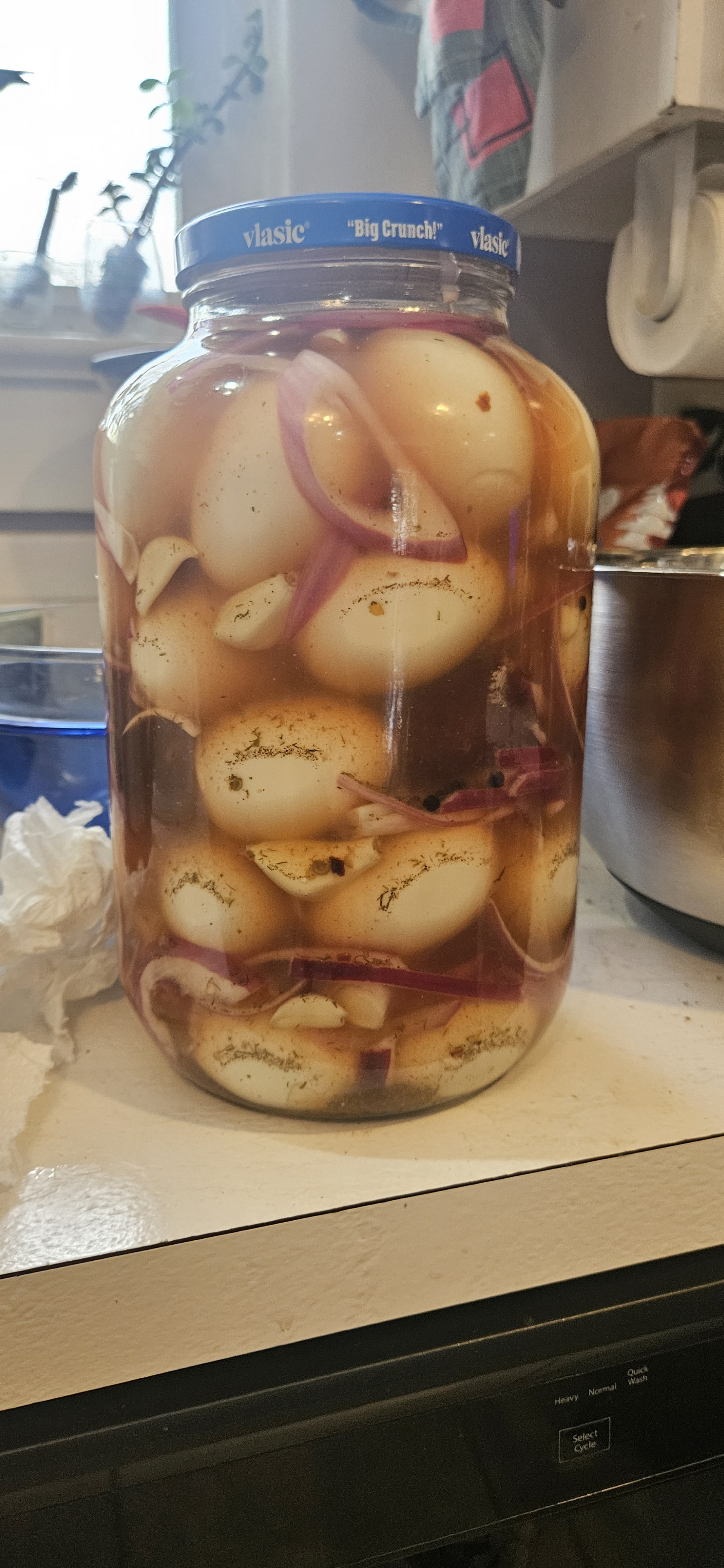 user avatar image for Dill616