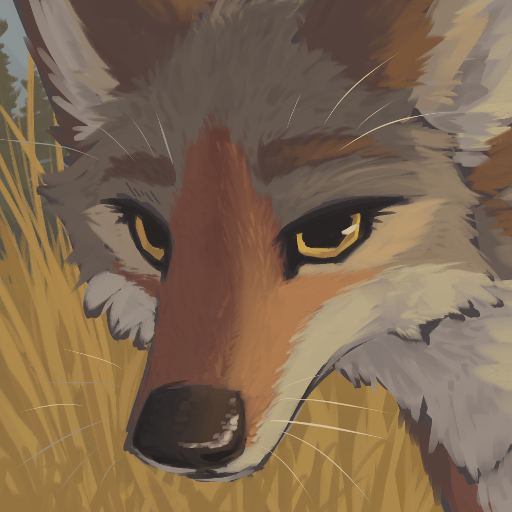 user avatar image for Coyote