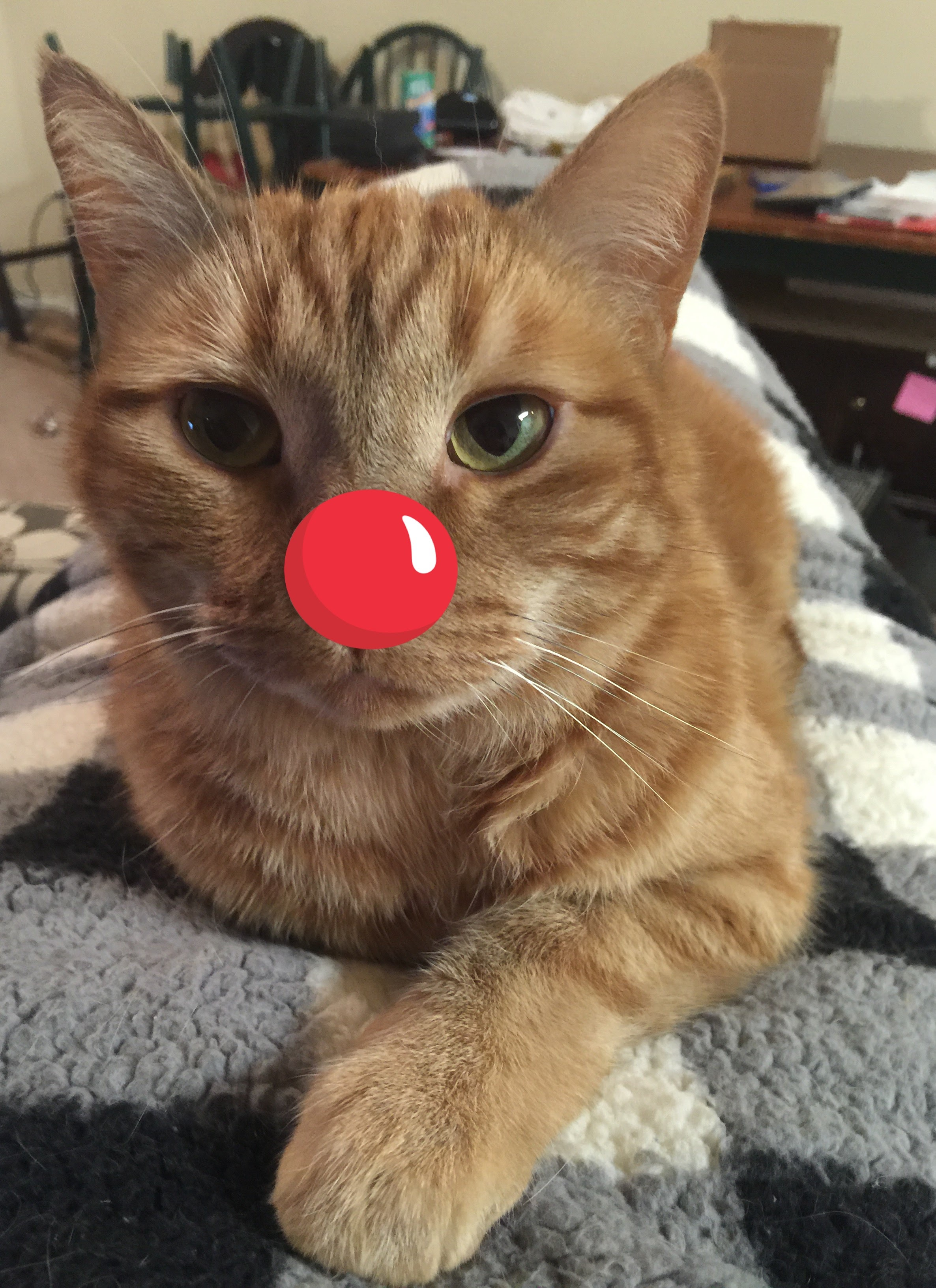 user avatar image for FinneyMan