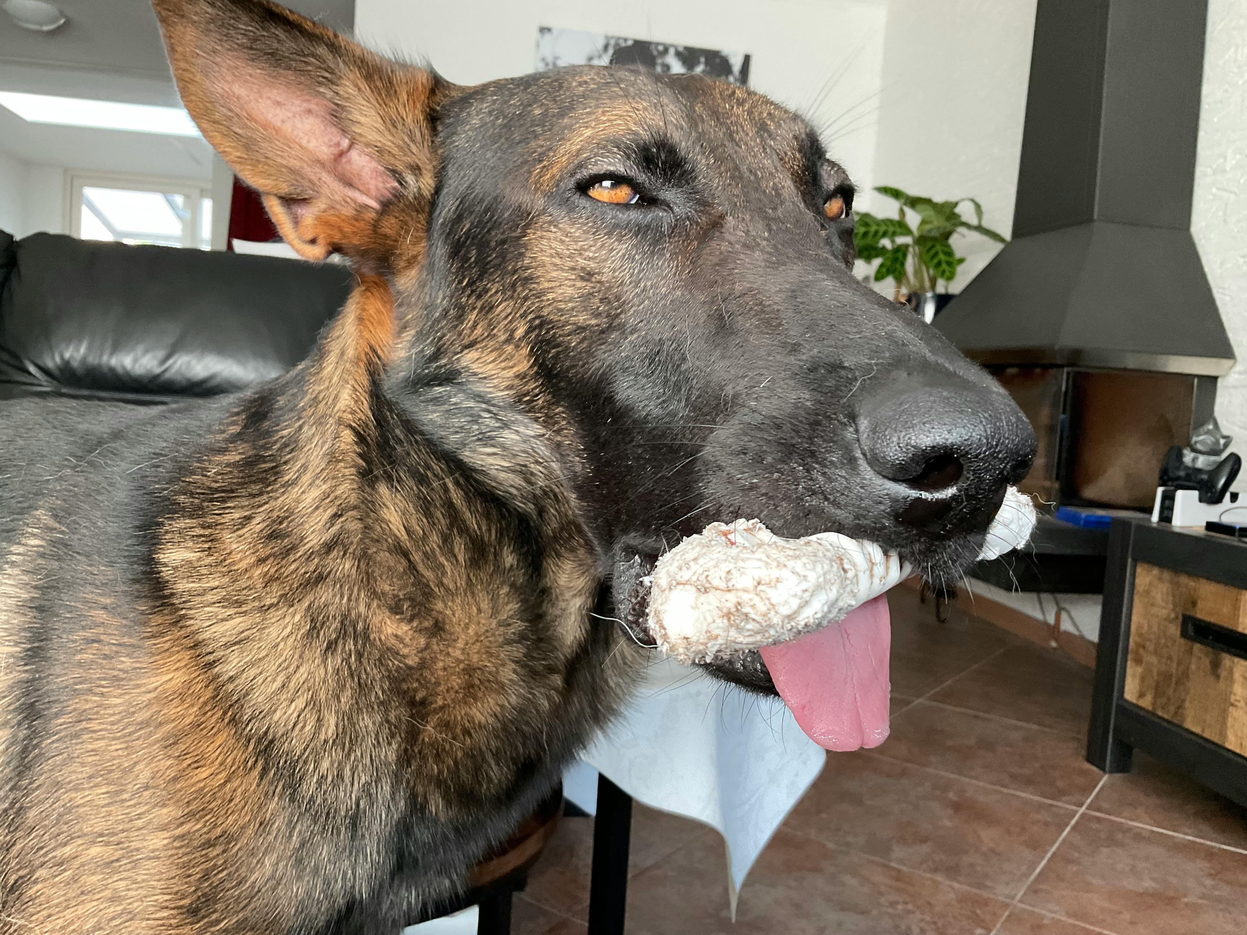 user avatar image for Danteran