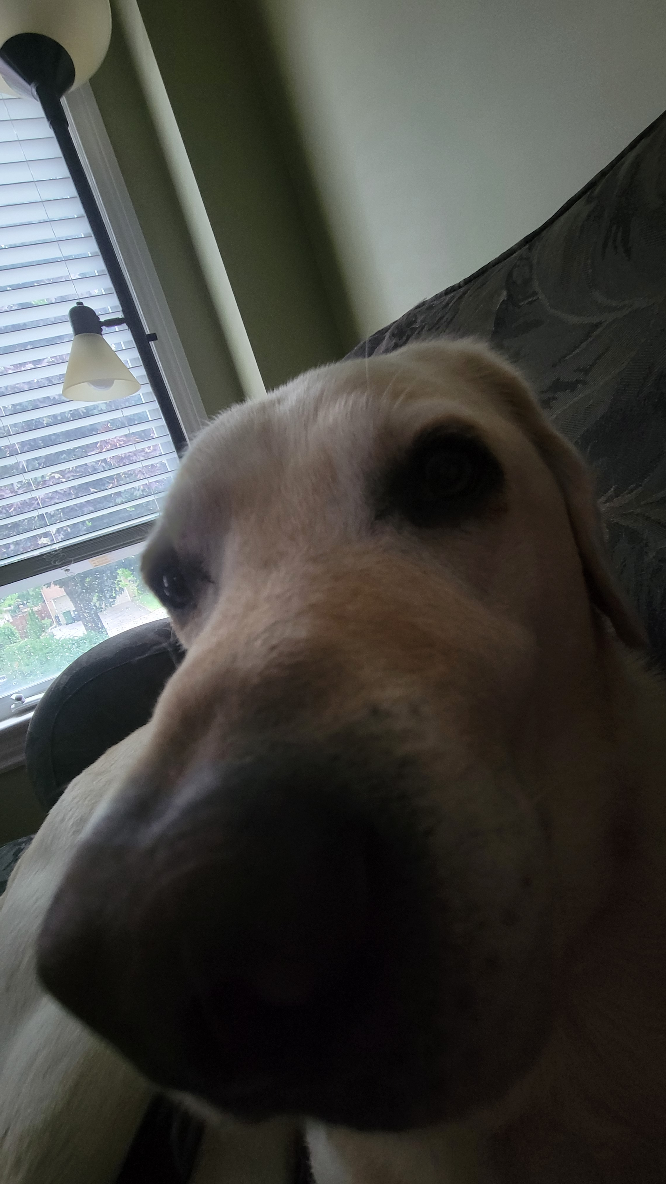 user avatar image for Jackson