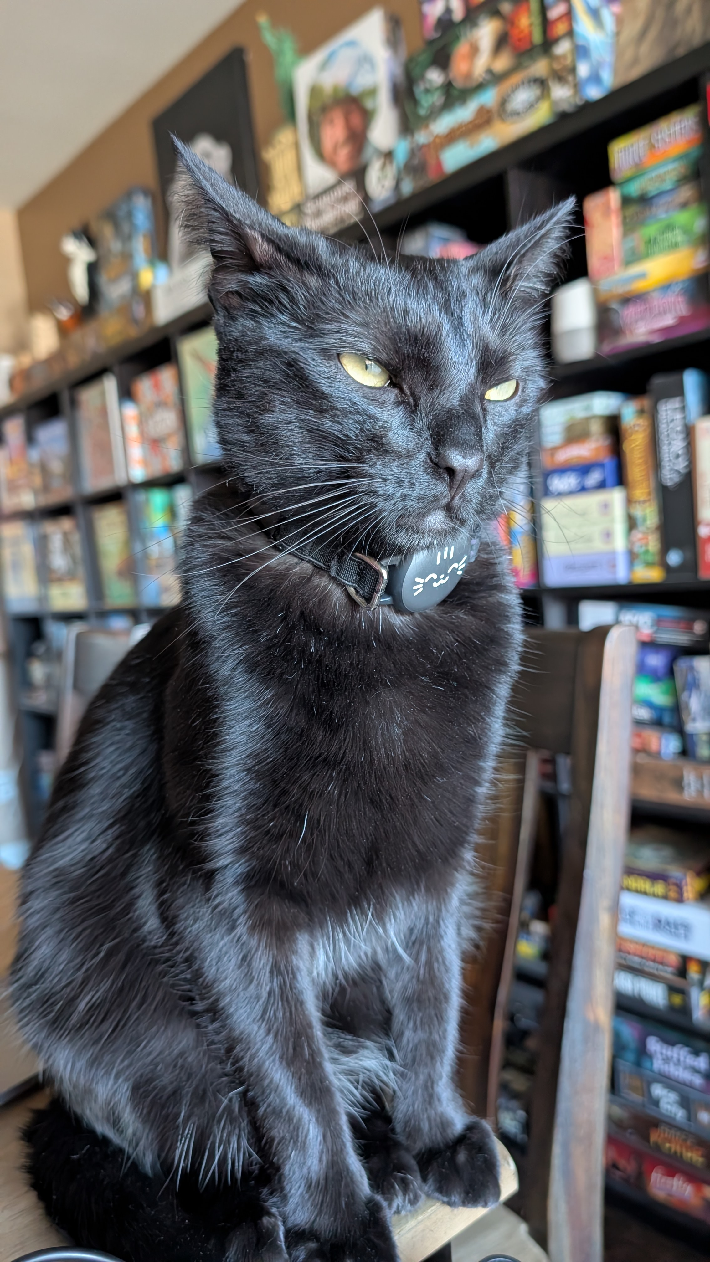 user avatar image for SidewaysAnger