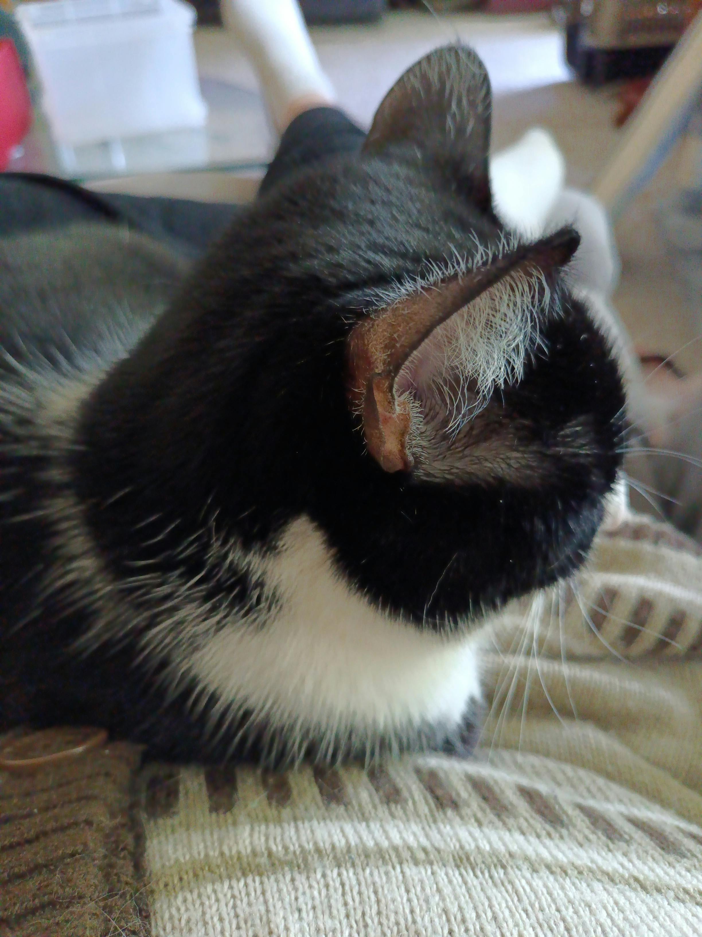 user avatar image for Avalon Gilpin