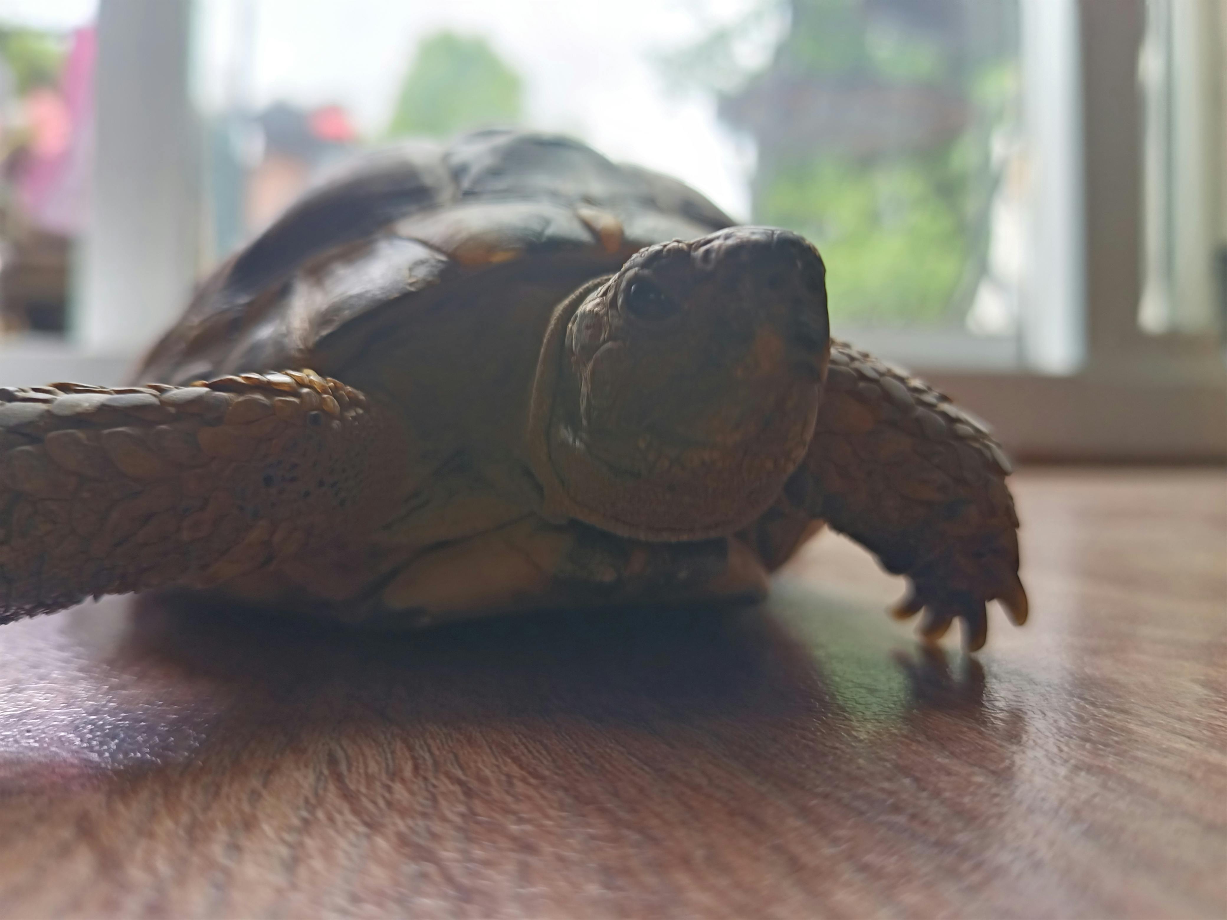user avatar image for Adam (Torty) Tilbury