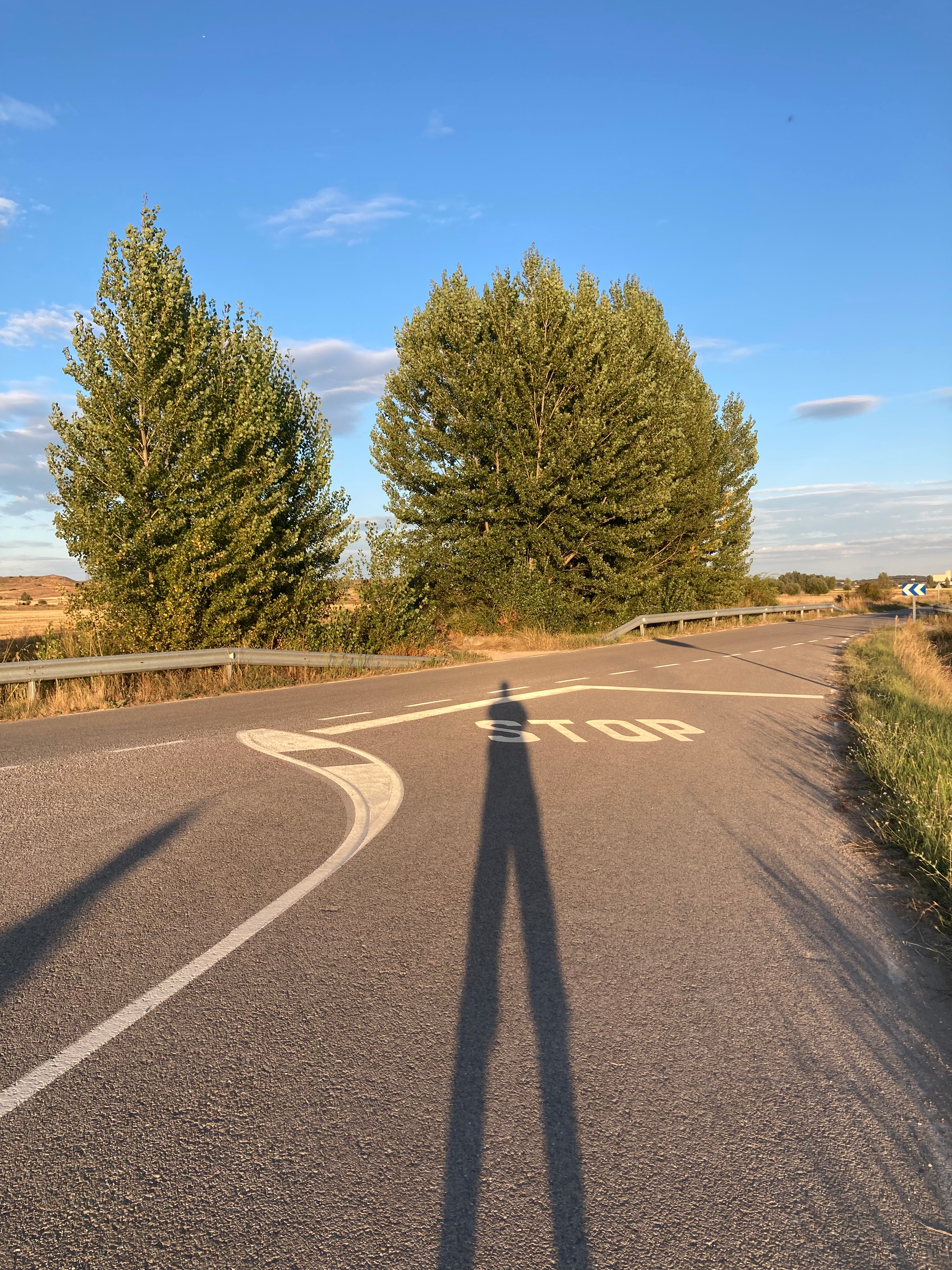 user avatar image for Ernesto Sanchez Perez de Muniain