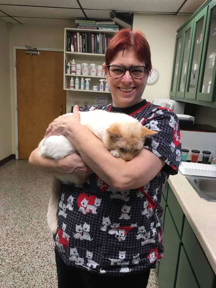 user avatar image for Karen Purcell