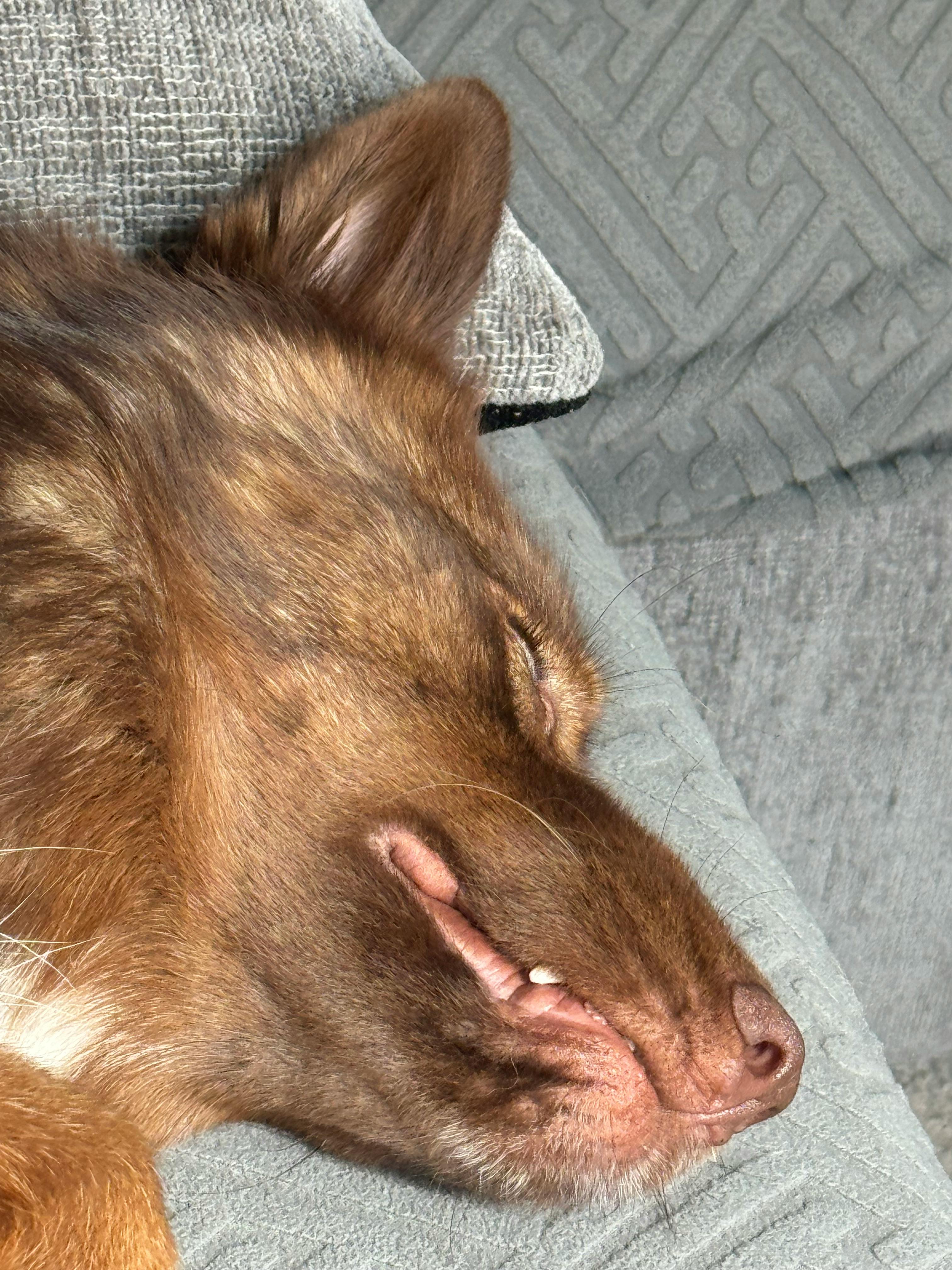 user avatar image for Alex Pottebaum