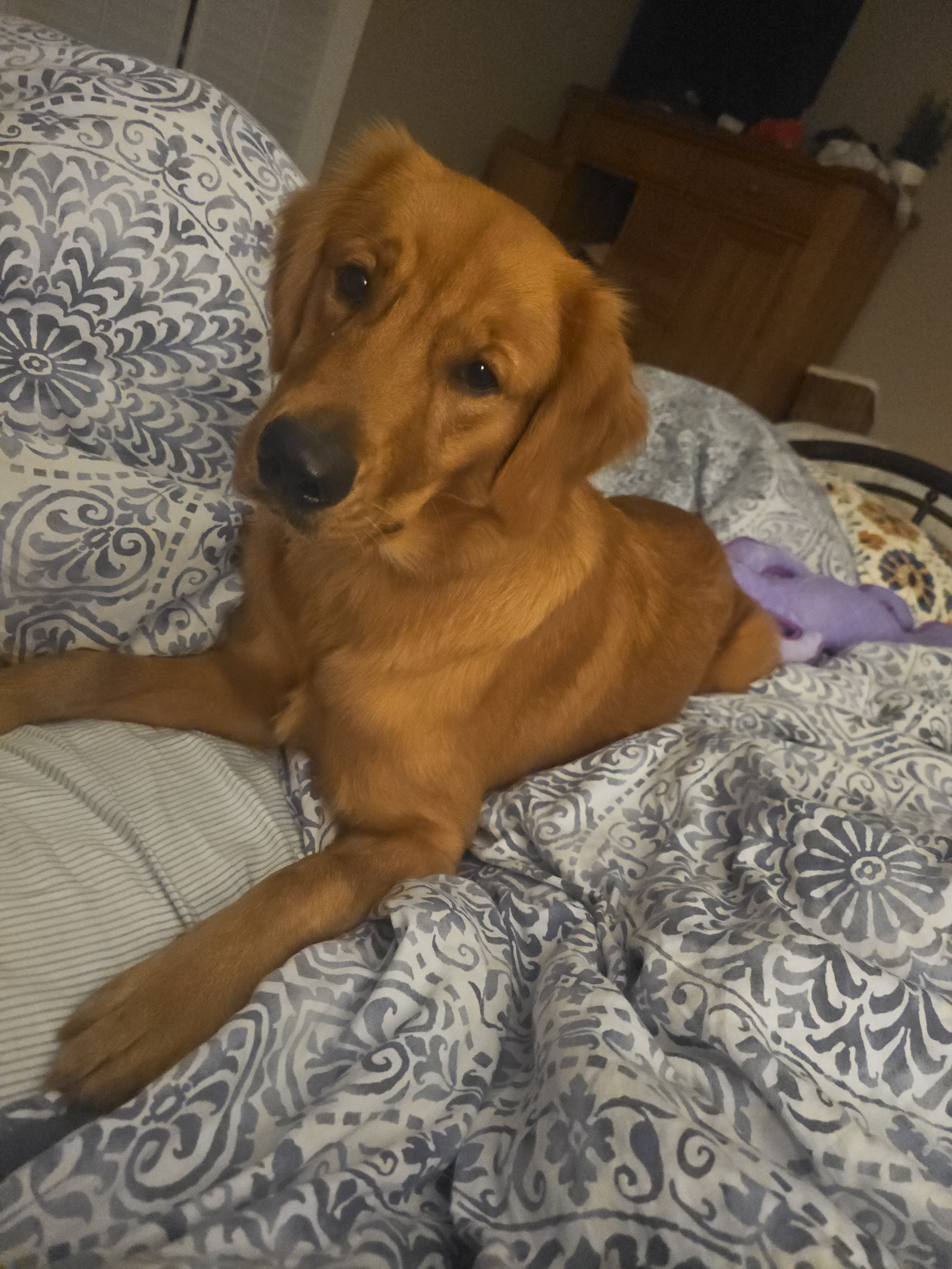 user avatar image for Crago