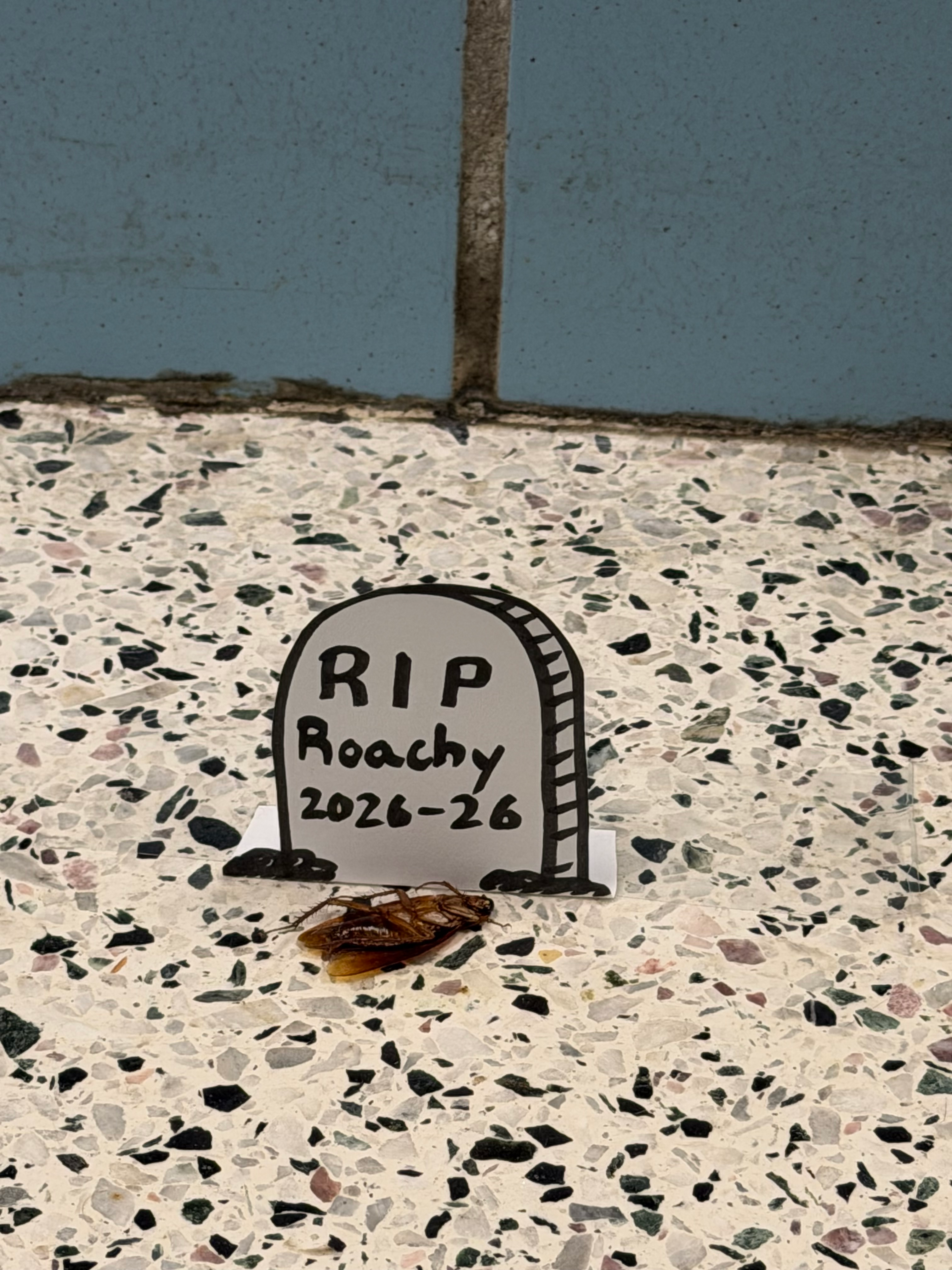 user avatar image for Emo_Raccoon