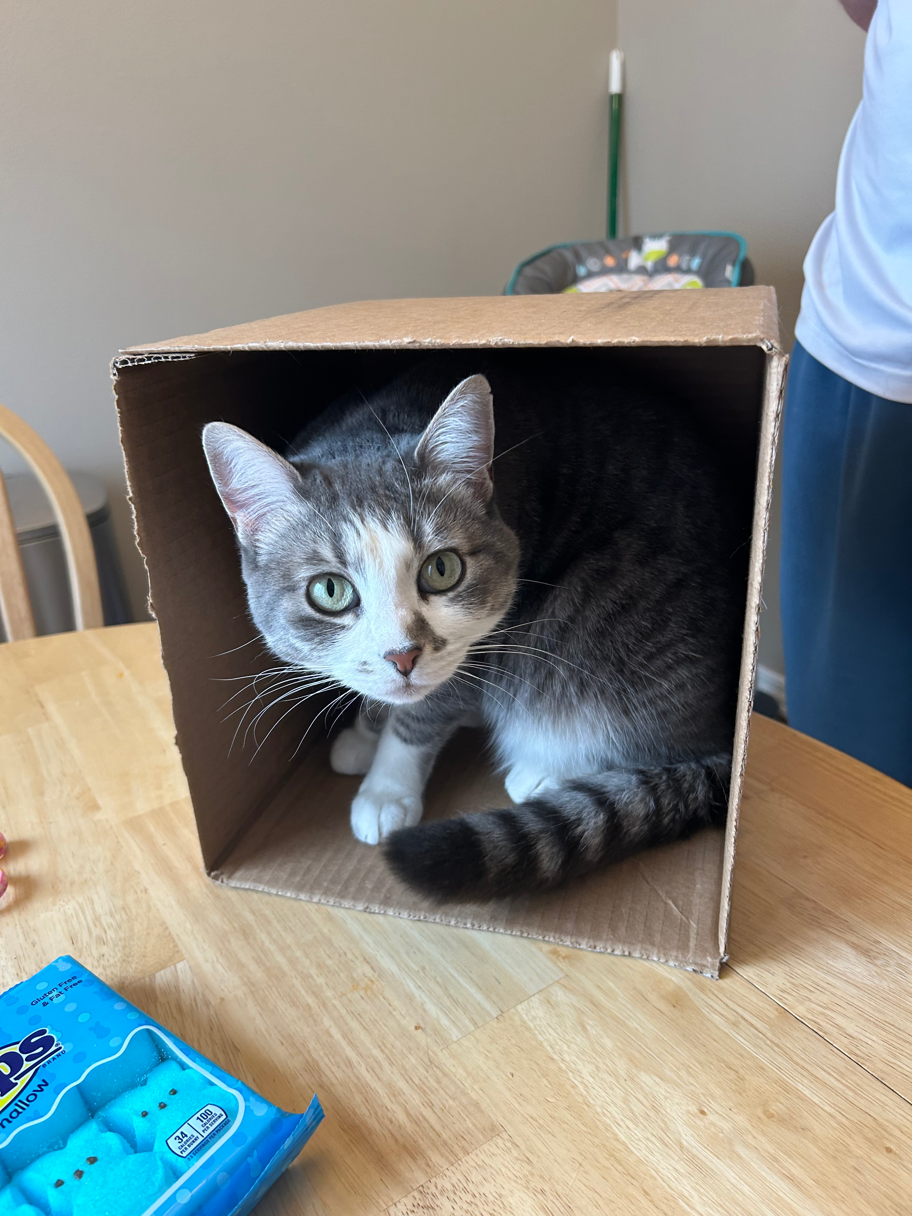 user avatar image for Kendra Rasmussen