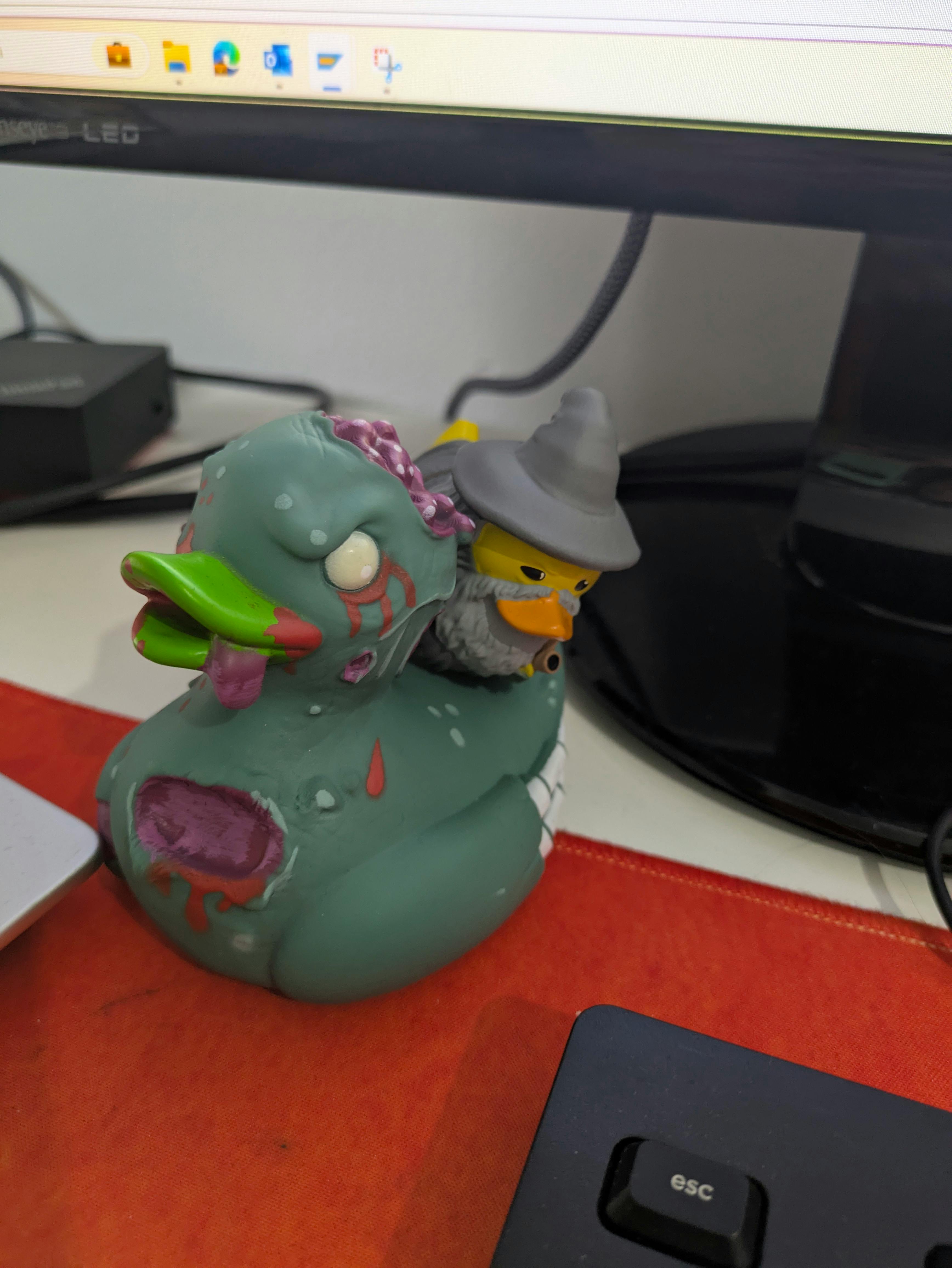 user avatar image for Terradactyl