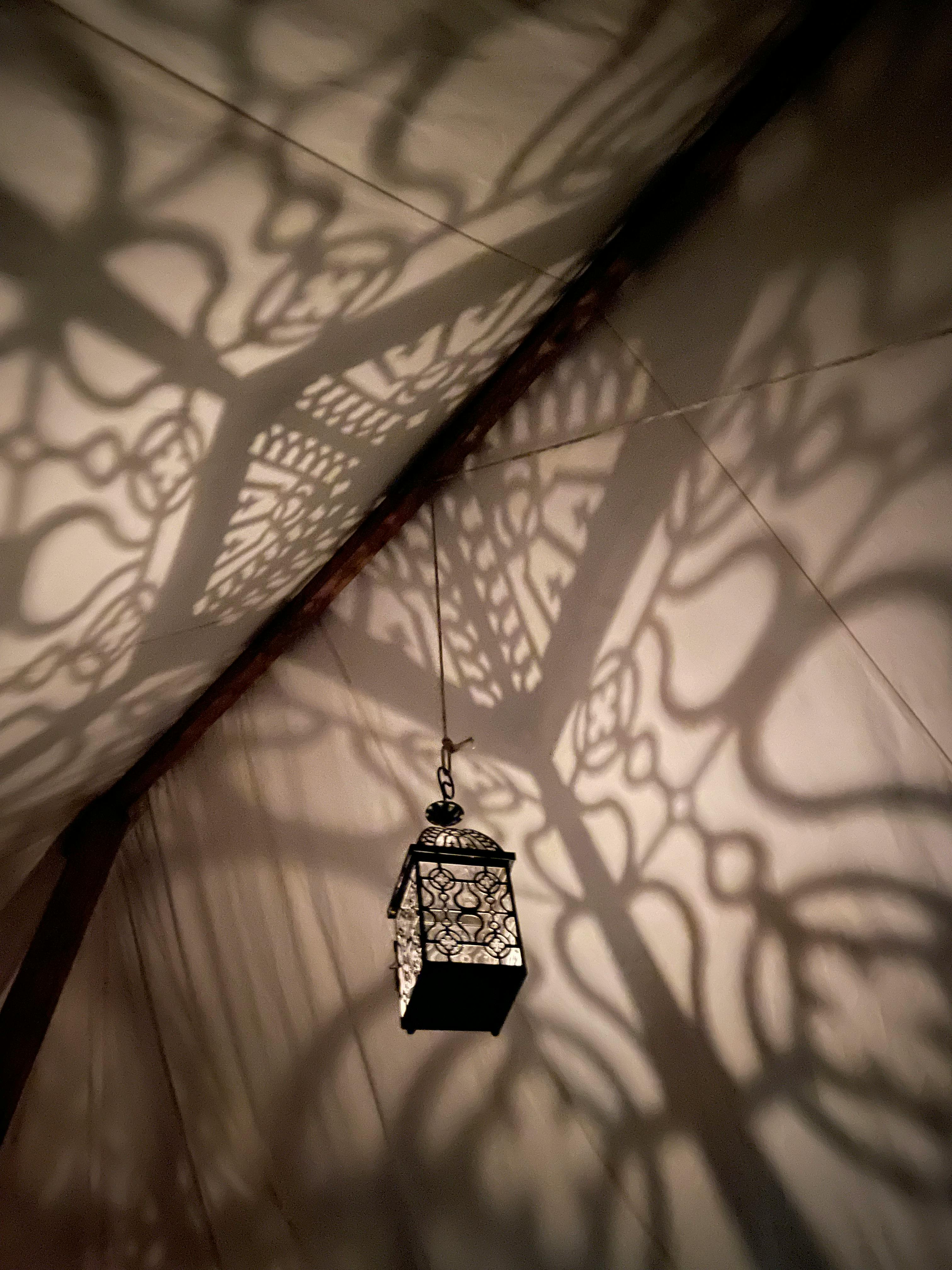 user avatar image for Lisa Oswald