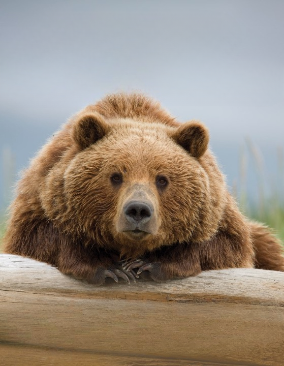 user avatar image for Doug