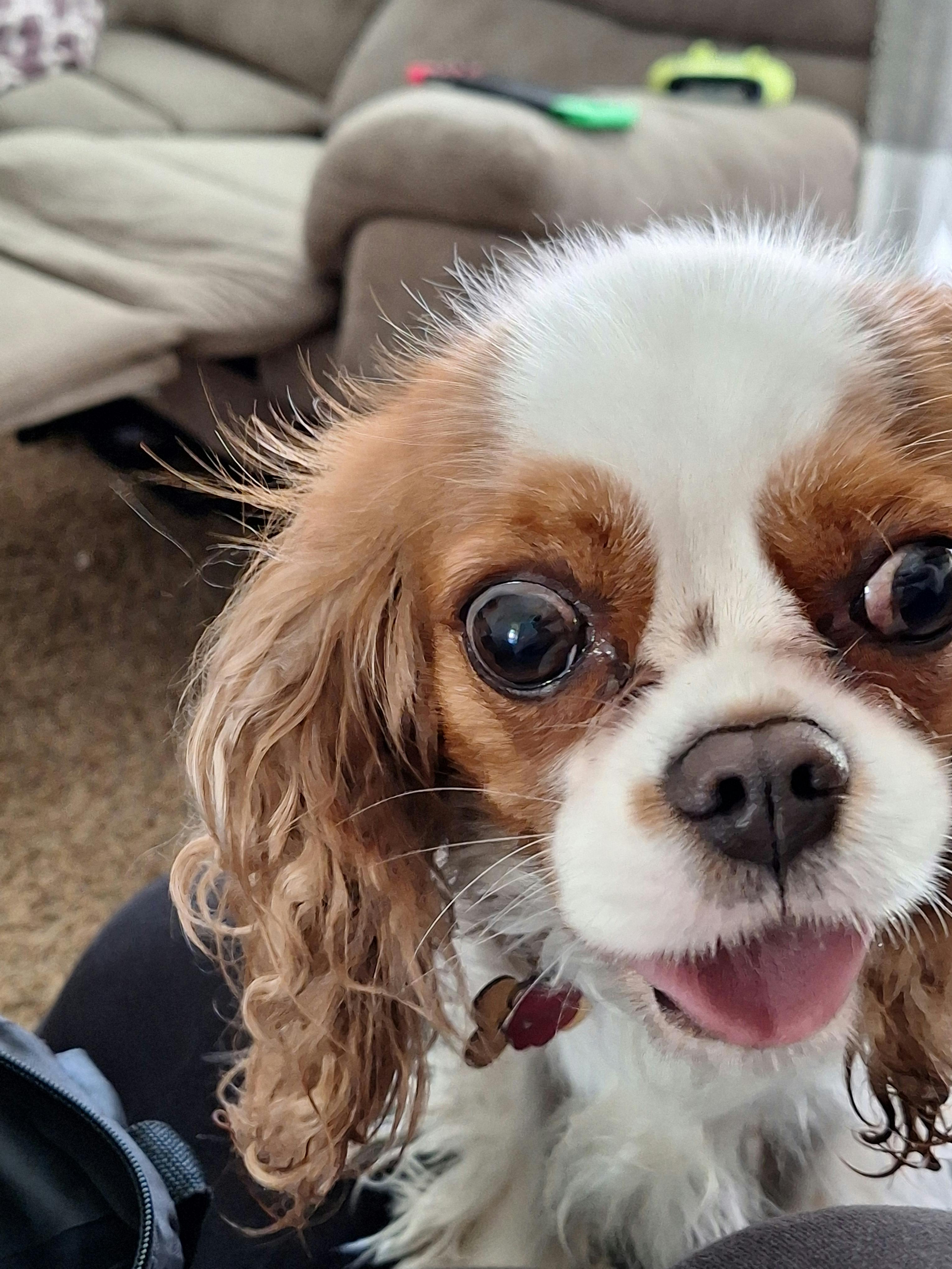 user avatar image for Kara L