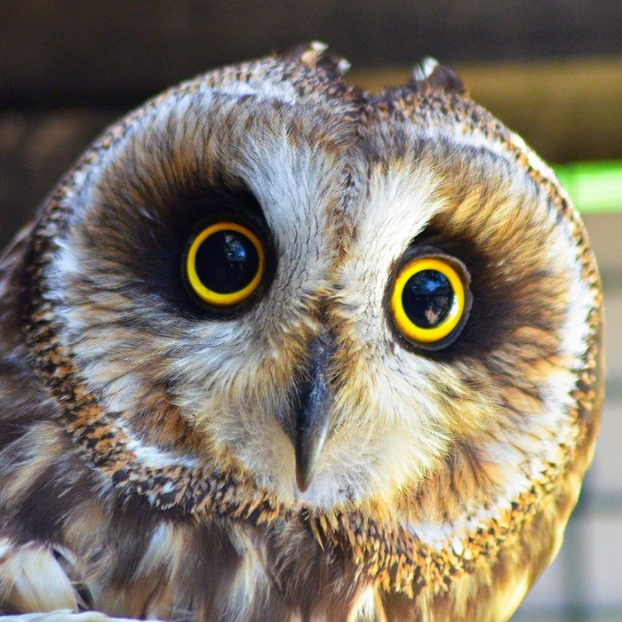 user avatar image for Teazane