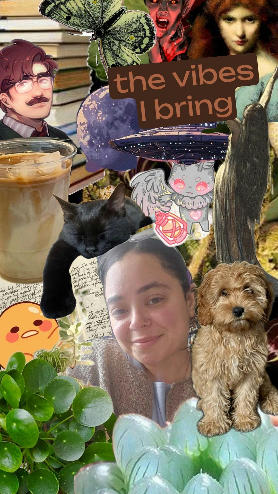 user avatar image for Susu