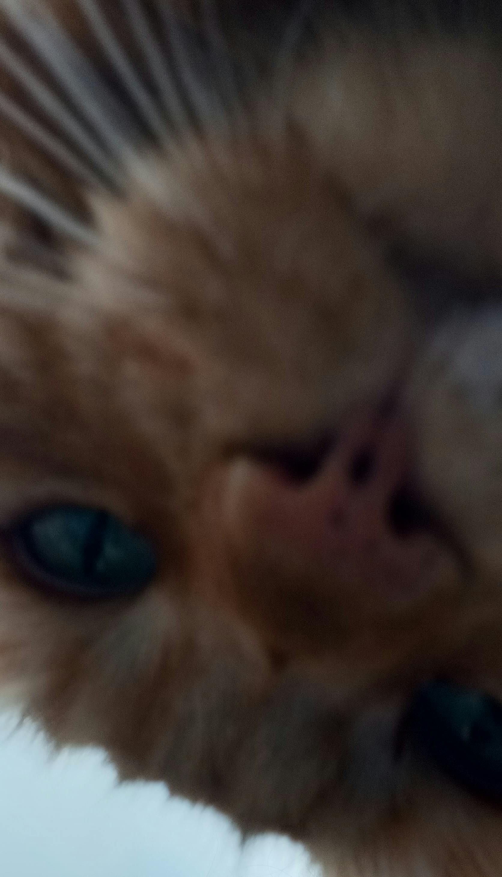 user avatar image for Finn Crosby