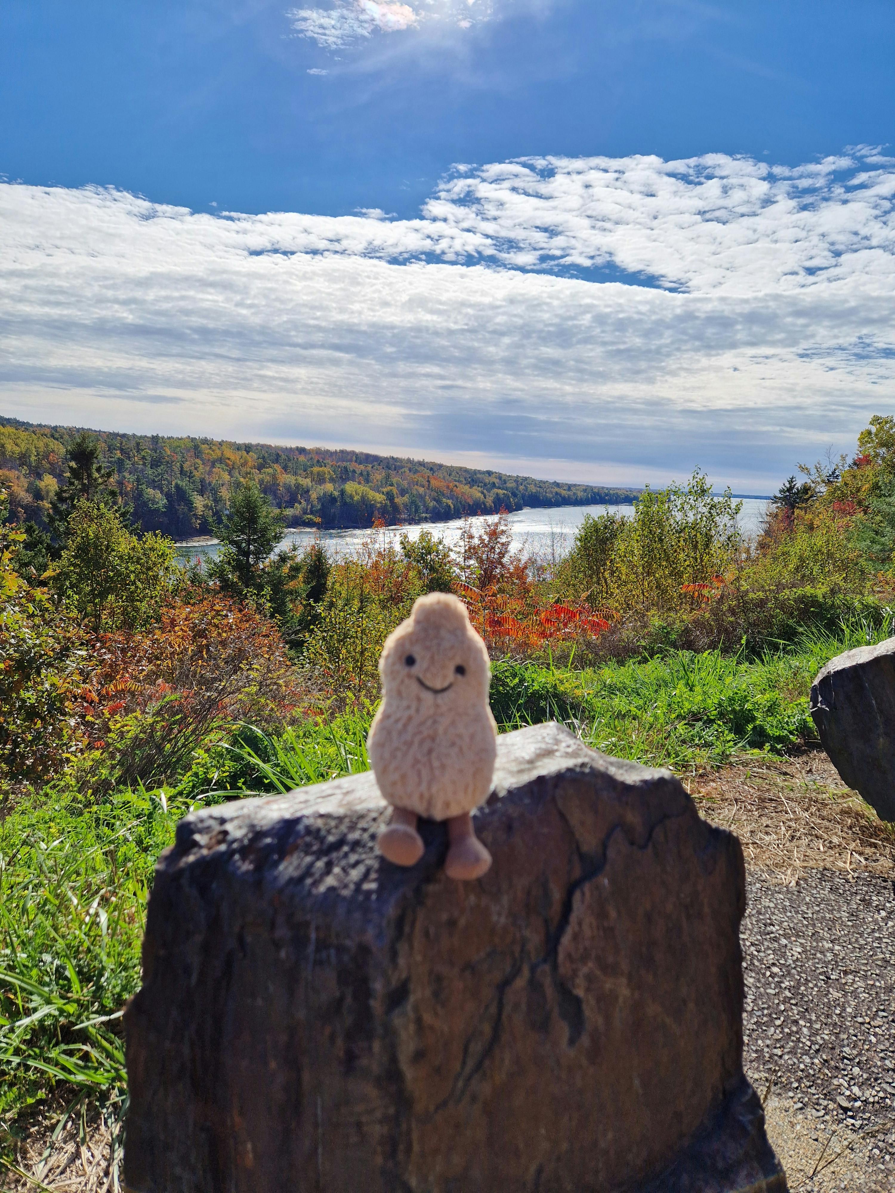 user avatar image for Sandra