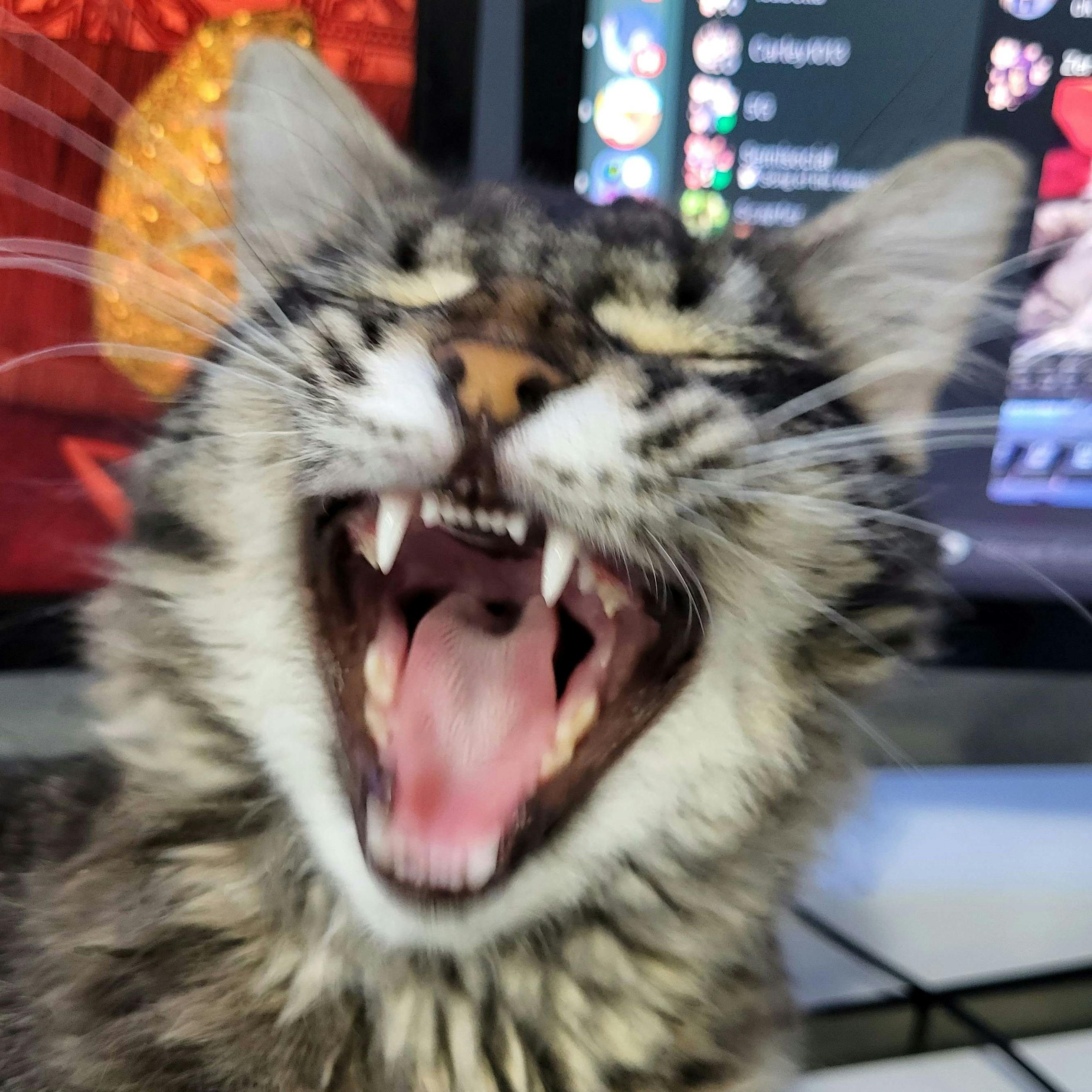 user avatar image for Erica S.