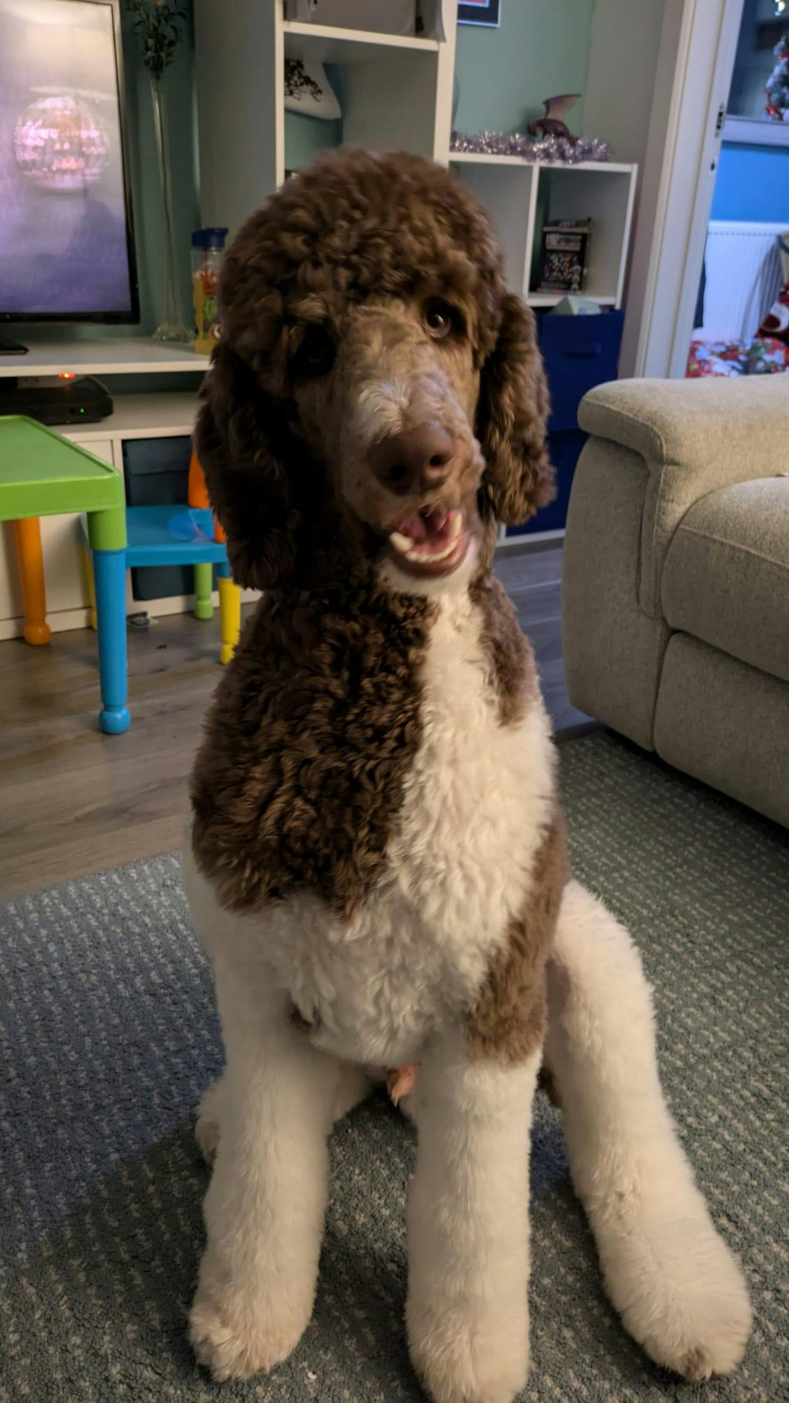 user avatar image for GMintraining 