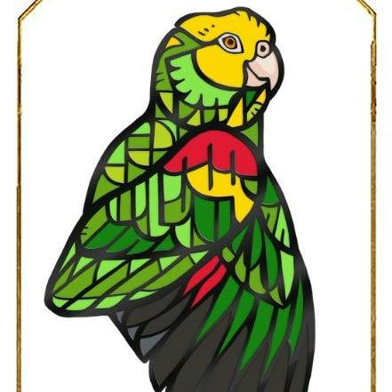 Double Yellow-Headed Amazon