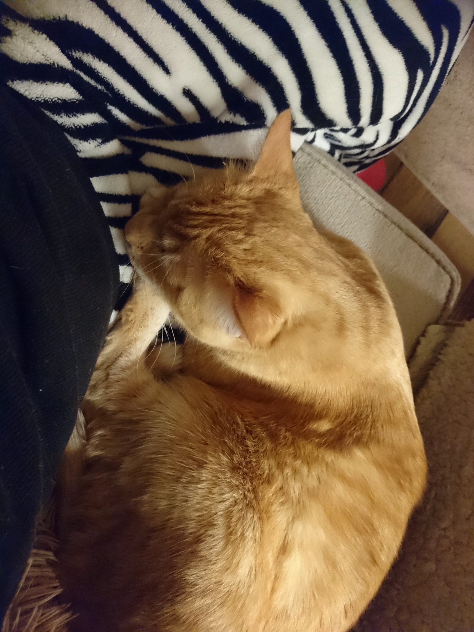 user avatar image for Sian