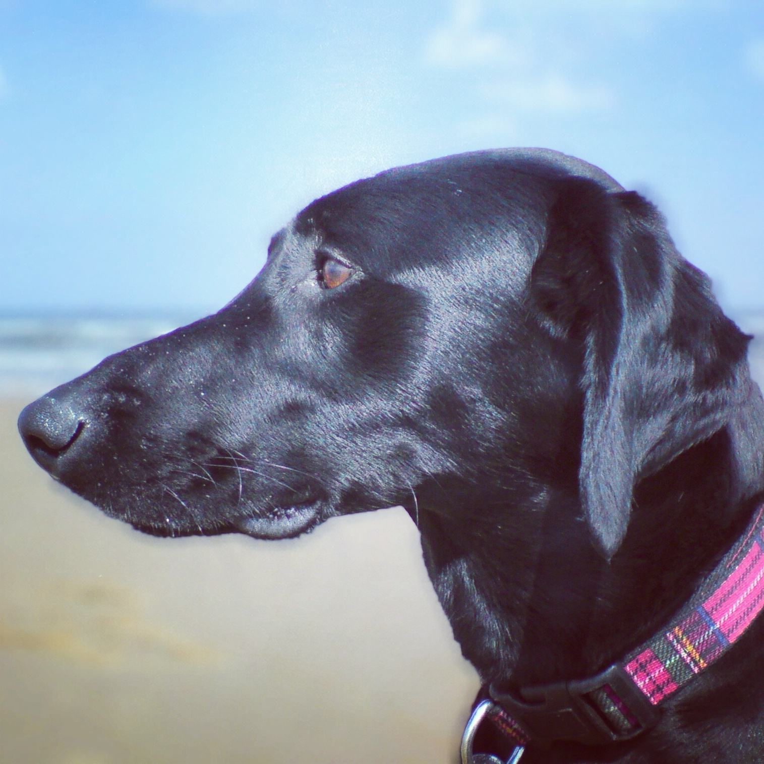 user avatar image for Anthony