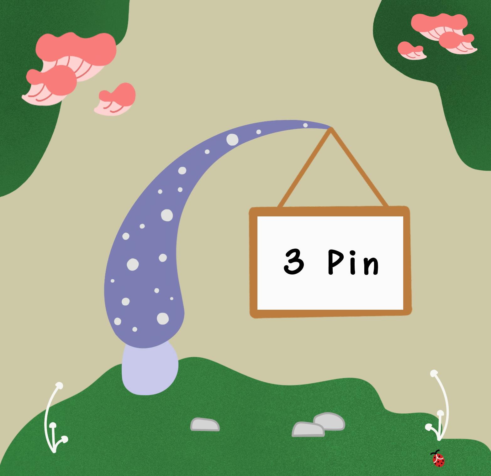 3 Pins
