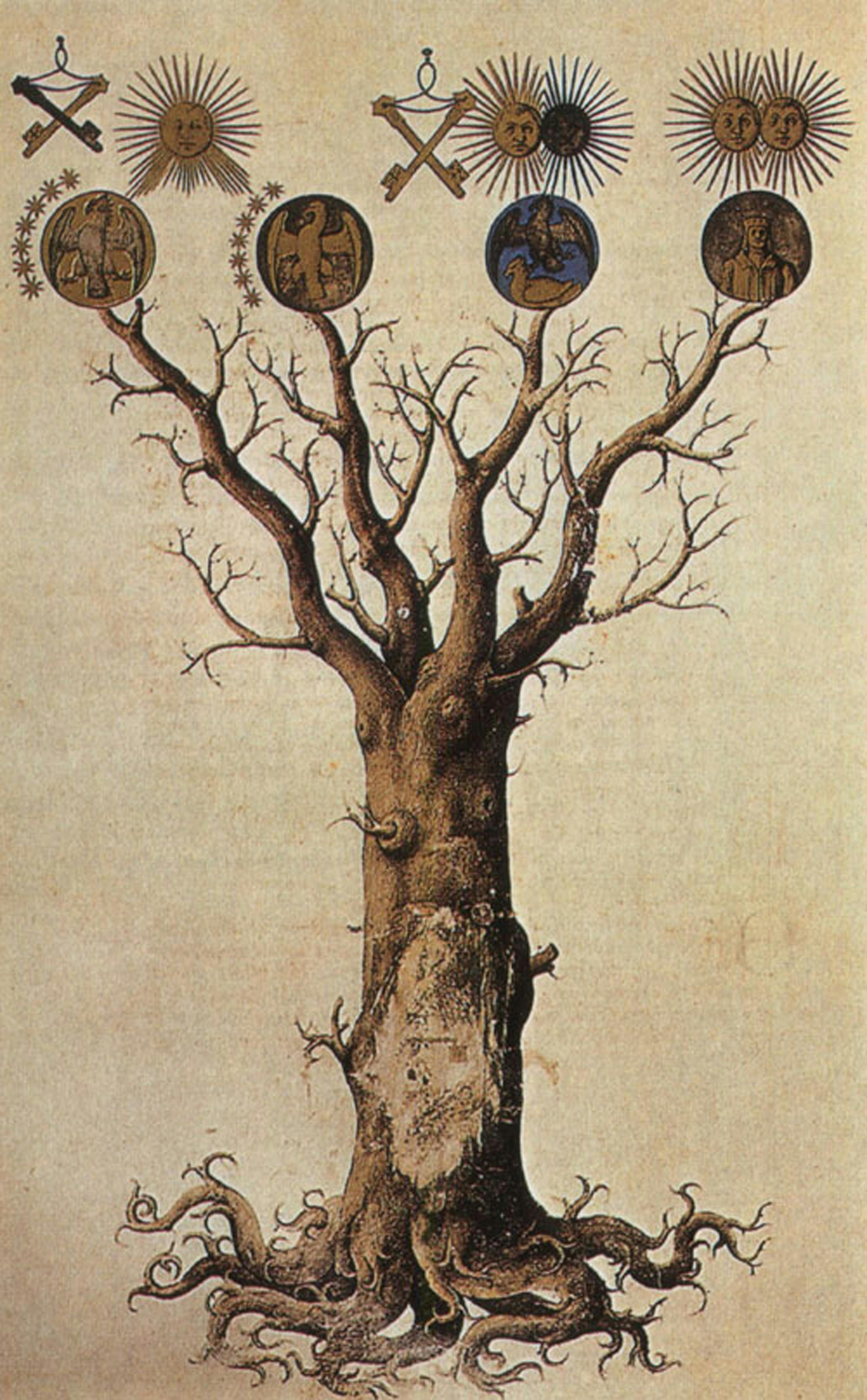 user avatar image for GhostForestEphemera