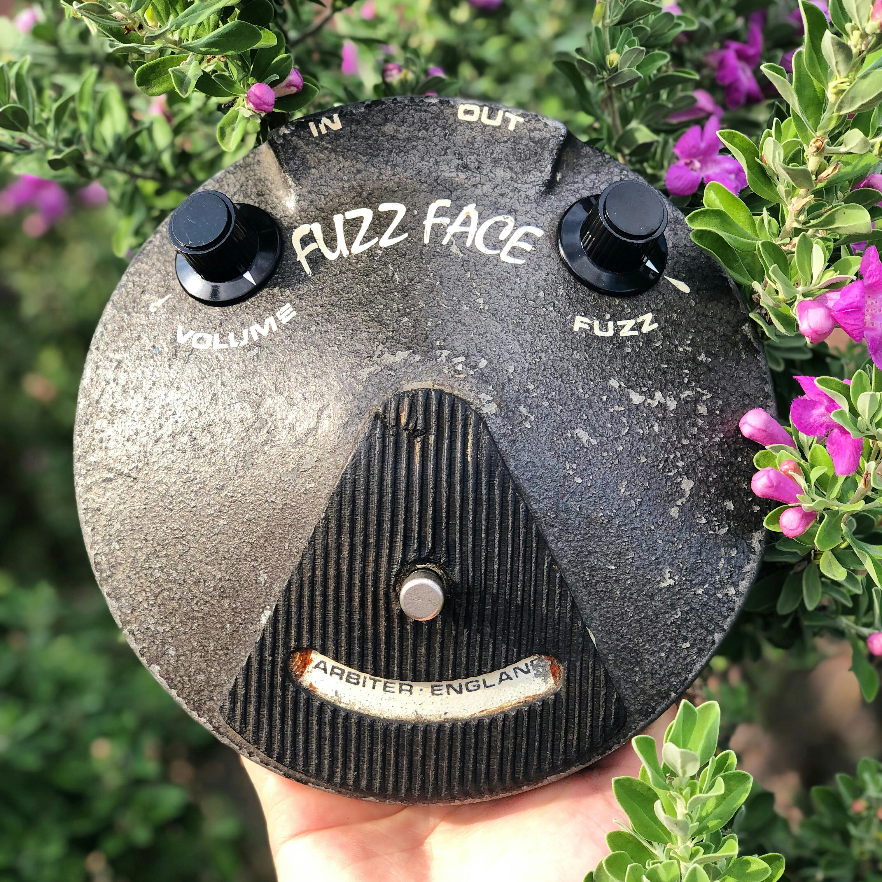 user avatar image for Rob