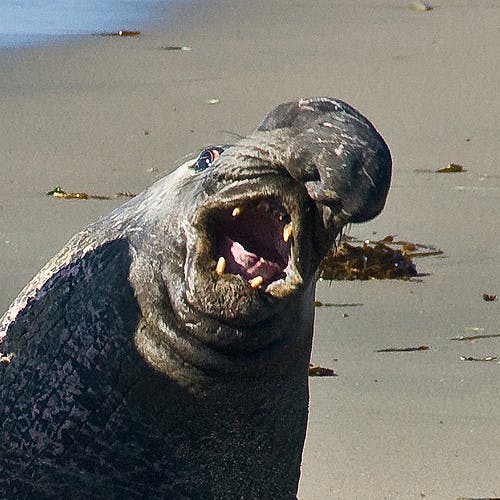 user avatar image for Lindsay C Regish