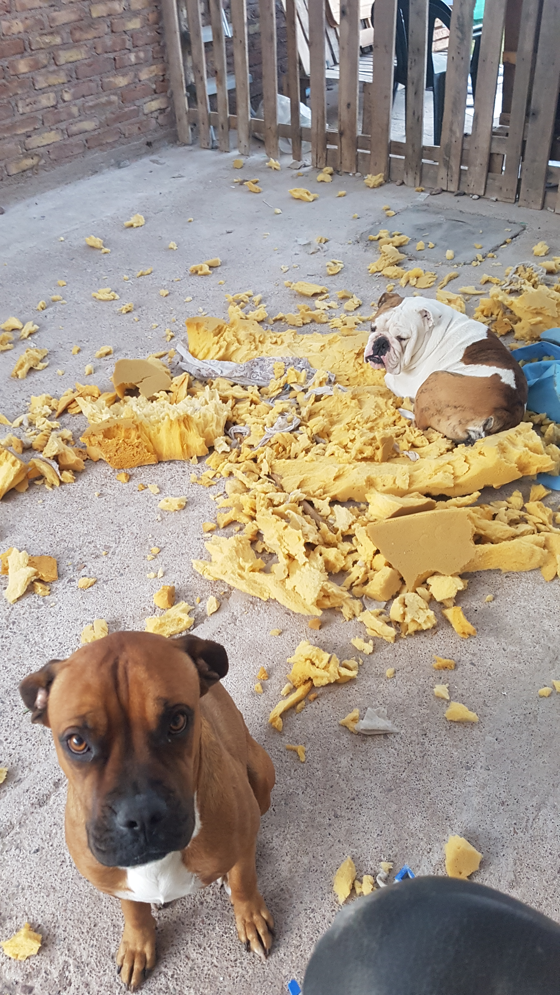 user avatar image for Fabian